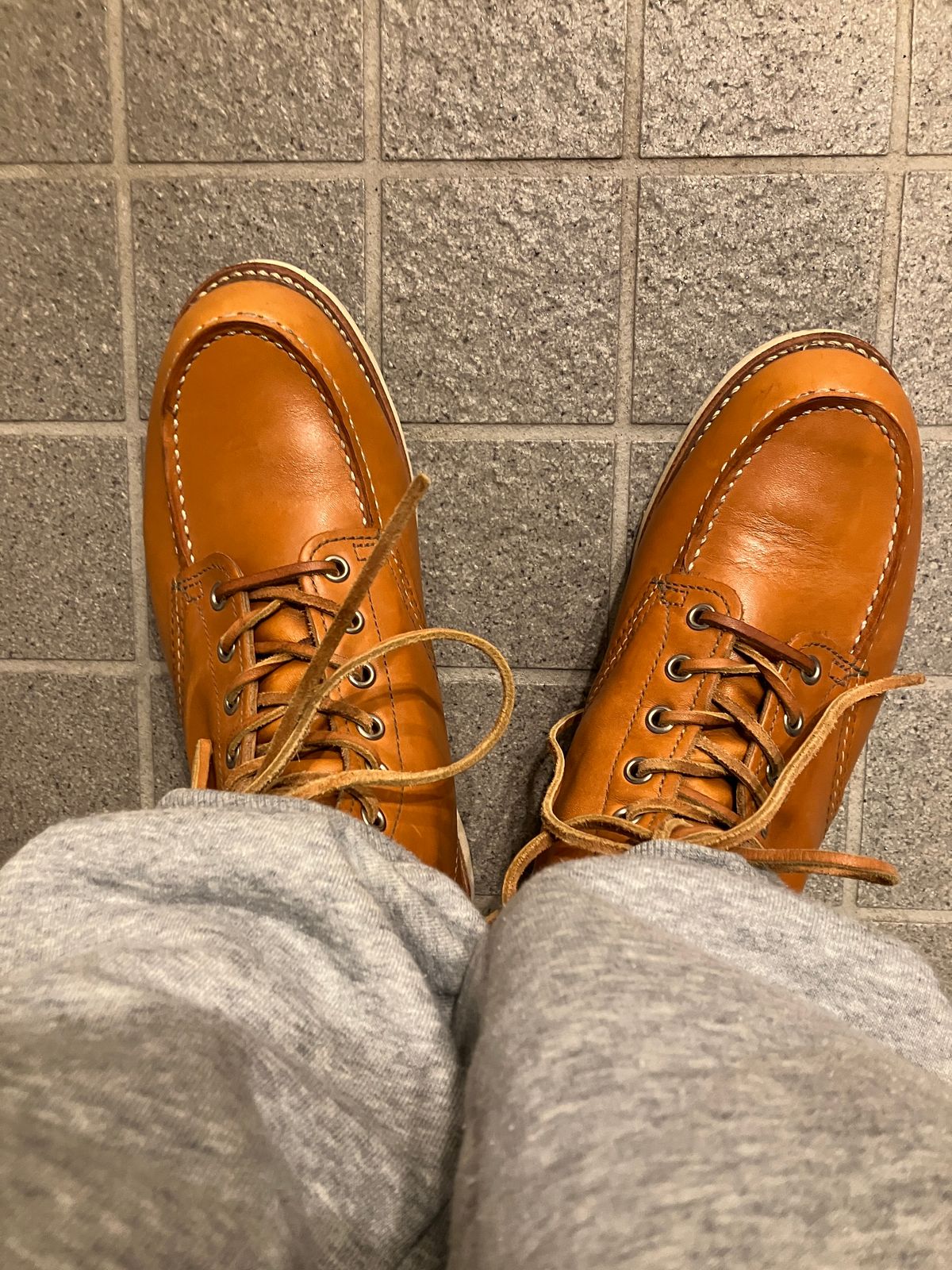Photo by maru on January 2, 2025 of the Red Wing 6-Inch Classic Moc in S.B. Foot Sequoia Gold Russet.