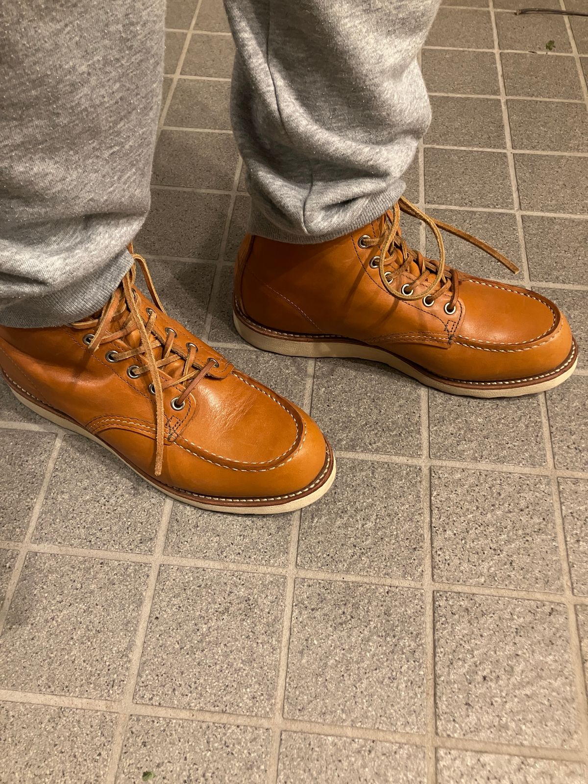 Photo by maru on January 2, 2025 of the Red Wing 6-Inch Classic Moc in S.B. Foot Sequoia Gold Russet.