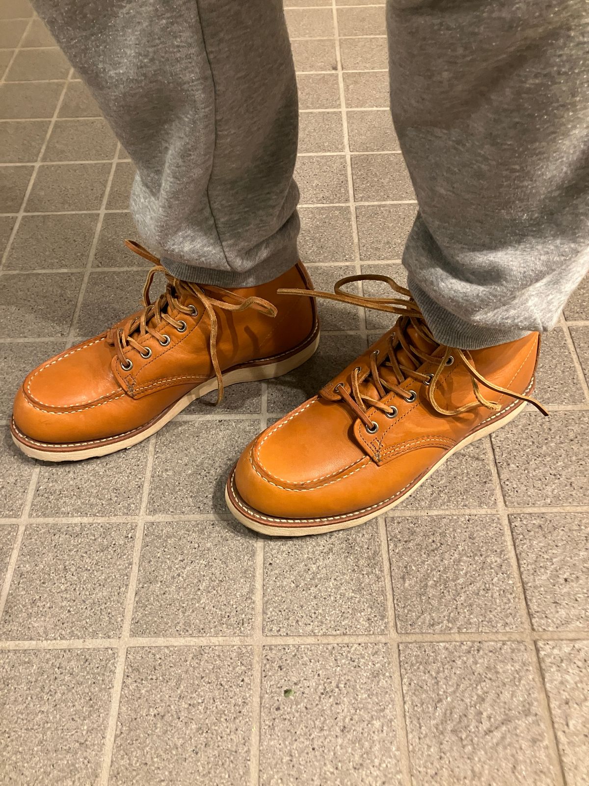 Photo by maru on January 2, 2025 of the Red Wing 6-Inch Classic Moc in S.B. Foot Sequoia Gold Russet.