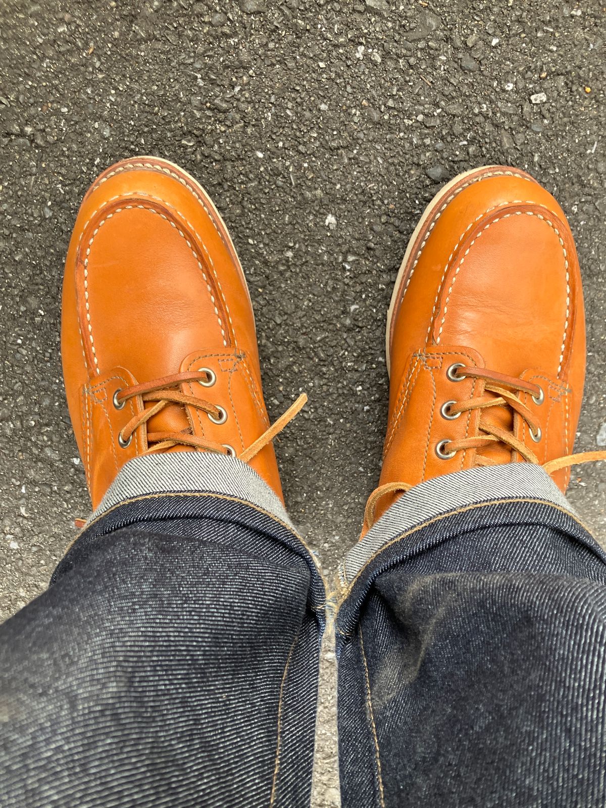 Photo by maru on January 12, 2025 of the Red Wing 6-Inch Classic Moc in S.B. Foot Sequoia Gold Russet.