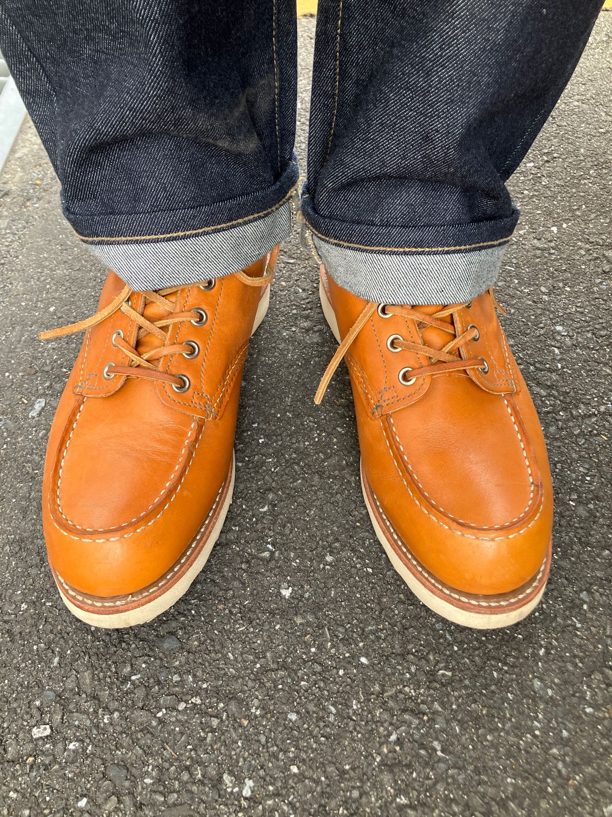 Photo by maru on January 12, 2025 of the Red Wing 6-Inch Classic Moc in S.B. Foot Sequoia Gold Russet.