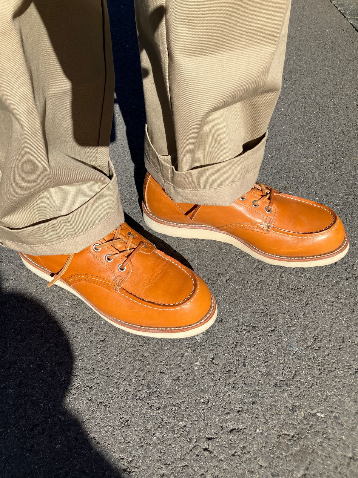 Photo by maru on January 26, 2025 of the Red Wing 6-Inch Classic Moc in S.B. Foot Sequoia Gold Russet.