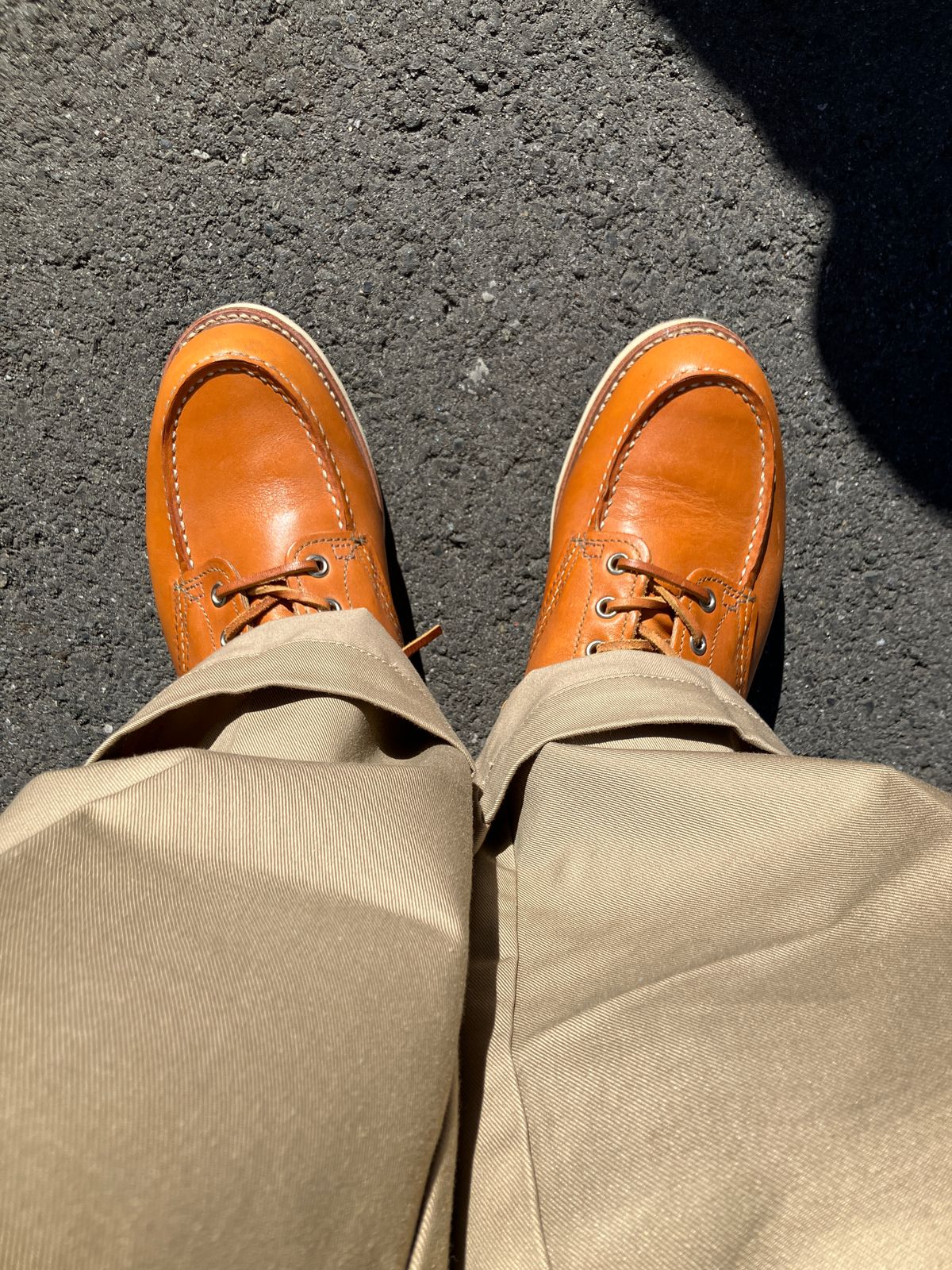 Photo by maru on January 26, 2025 of the Red Wing 6-Inch Classic Moc in S.B. Foot Sequoia Gold Russet.