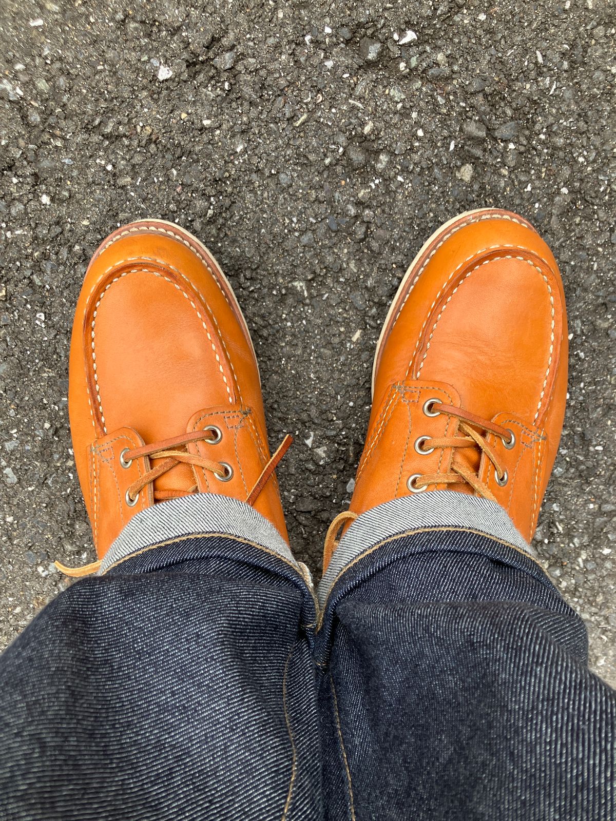 Photo by maru on January 19, 2025 of the Red Wing 6-Inch Classic Moc in S.B. Foot Sequoia Gold Russet.