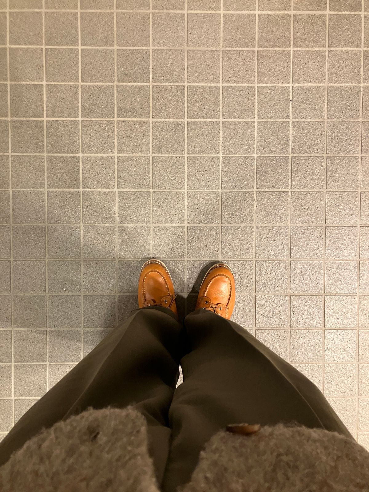 Photo by maru on February 12, 2025 of the Red Wing 6-Inch Classic Moc in S.B. Foot Sequoia Gold Russet.