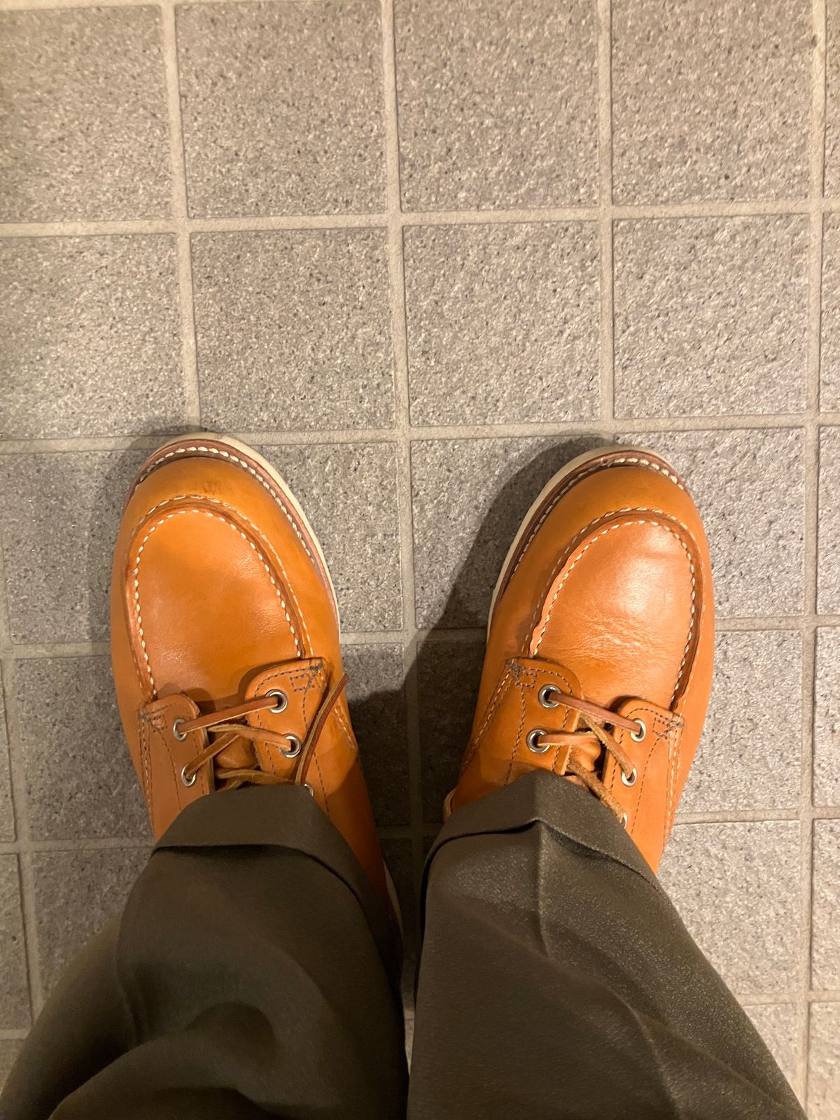 Photo by maru on February 12, 2025 of the Red Wing 6-Inch Classic Moc in S.B. Foot Sequoia Gold Russet.