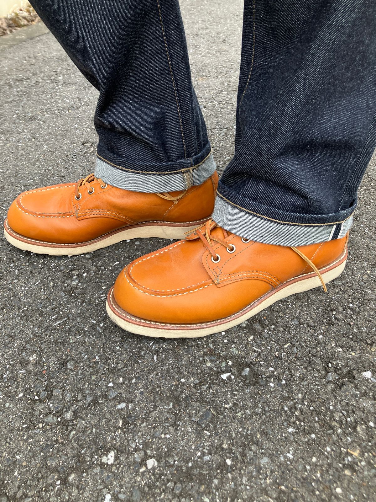 Photo by maru on January 19, 2025 of the Red Wing 6-Inch Classic Moc in S.B. Foot Sequoia Gold Russet.