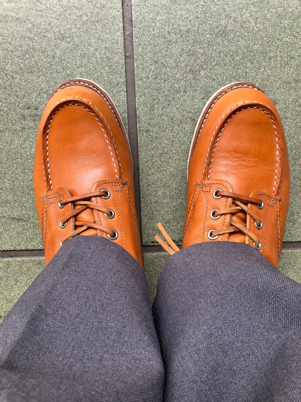 Photo by maru on January 21, 2025 of the Red Wing 6-Inch Classic Moc in S.B. Foot Sequoia Gold Russet.