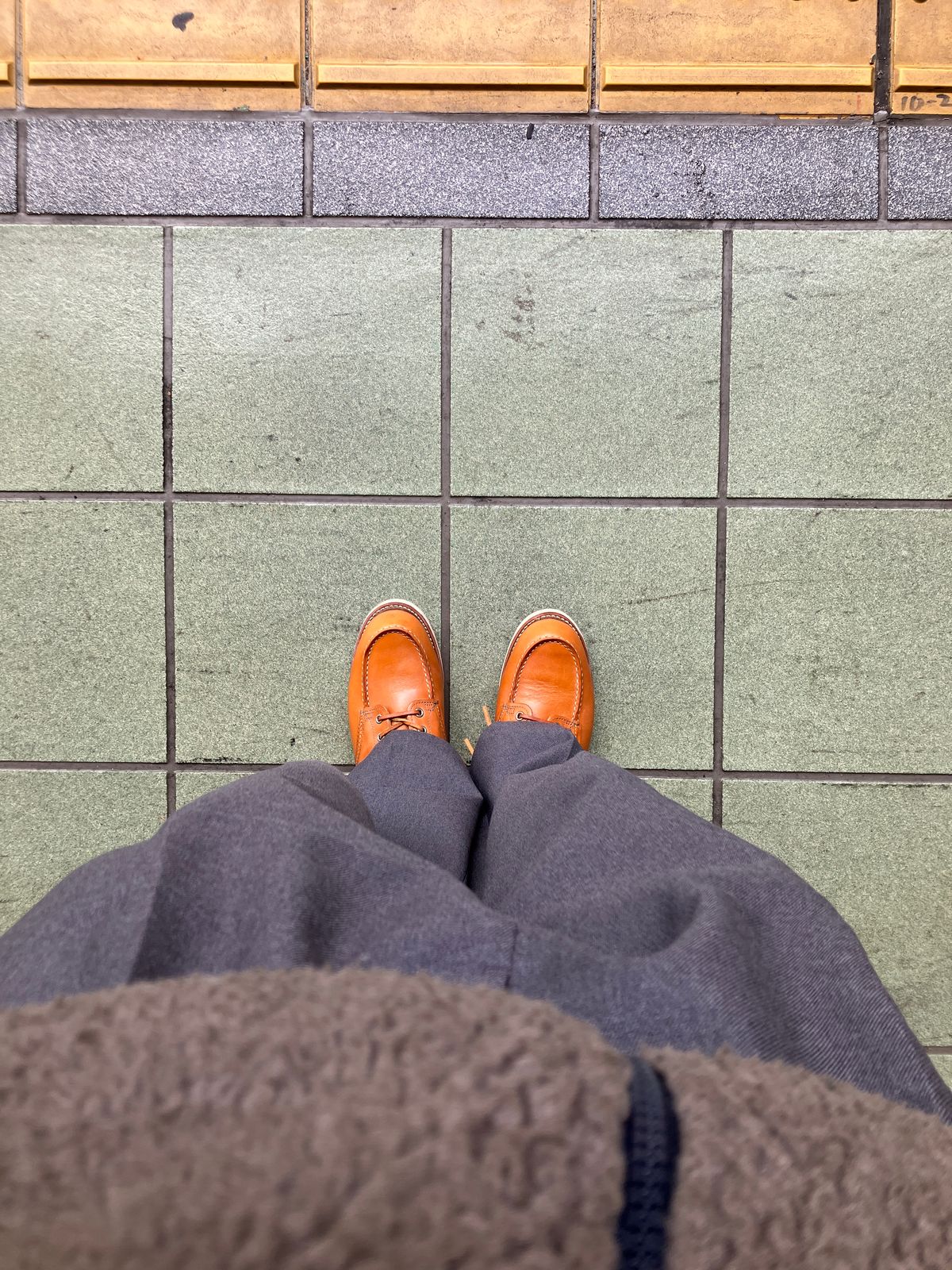 Photo by maru on January 21, 2025 of the Red Wing 6-Inch Classic Moc in S.B. Foot Sequoia Gold Russet.