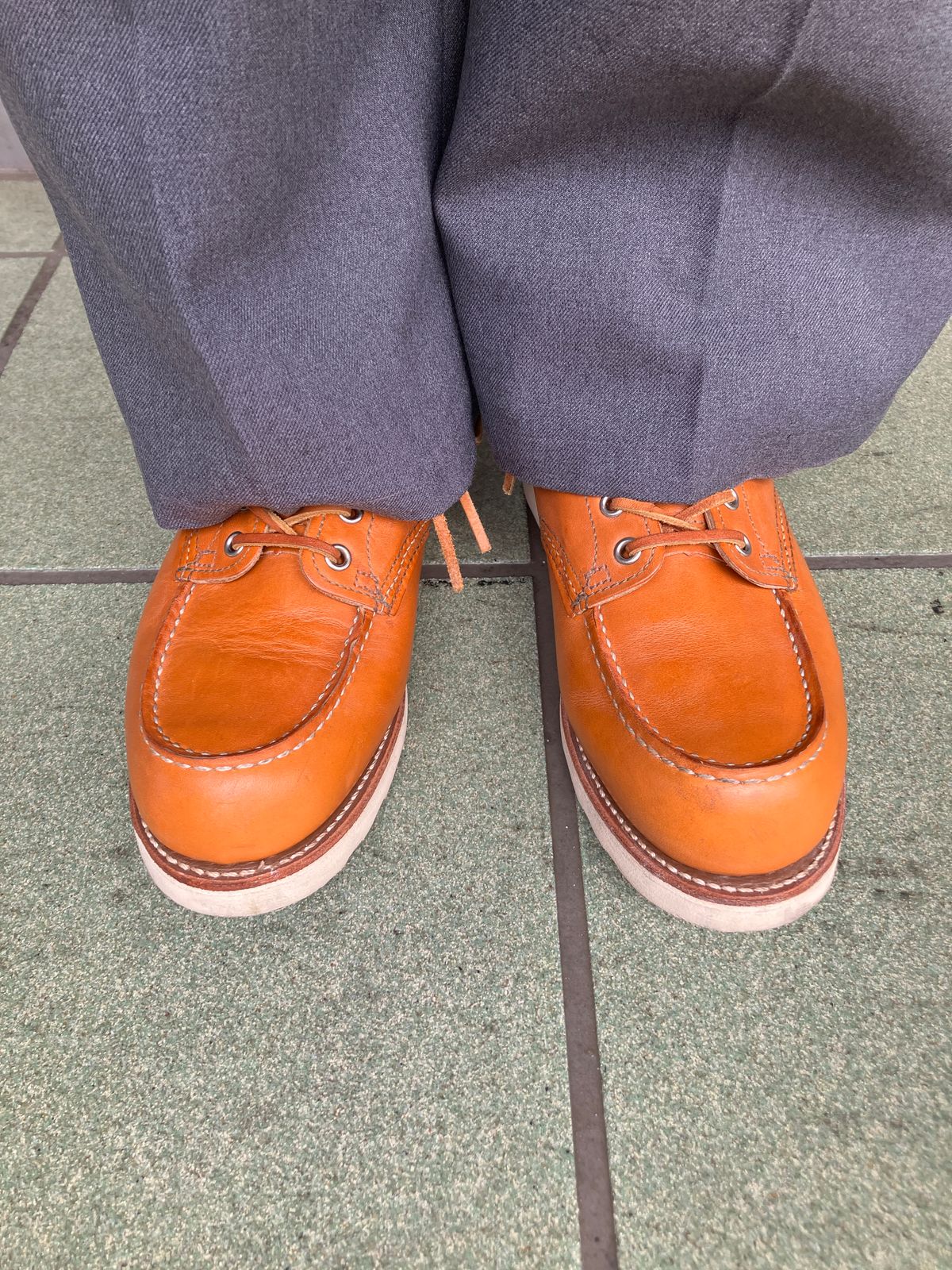 Photo by maru on January 21, 2025 of the Red Wing 6-Inch Classic Moc in S.B. Foot Sequoia Gold Russet.