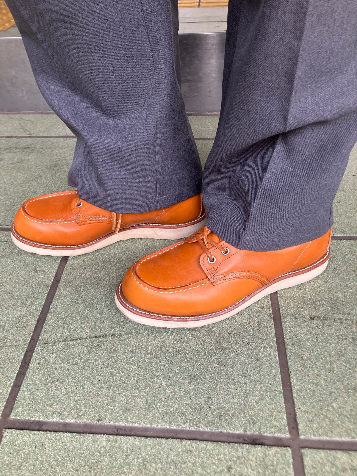 Photo by maru on January 21, 2025 of the Red Wing 6-Inch Classic Moc in S.B. Foot Sequoia Gold Russet.
