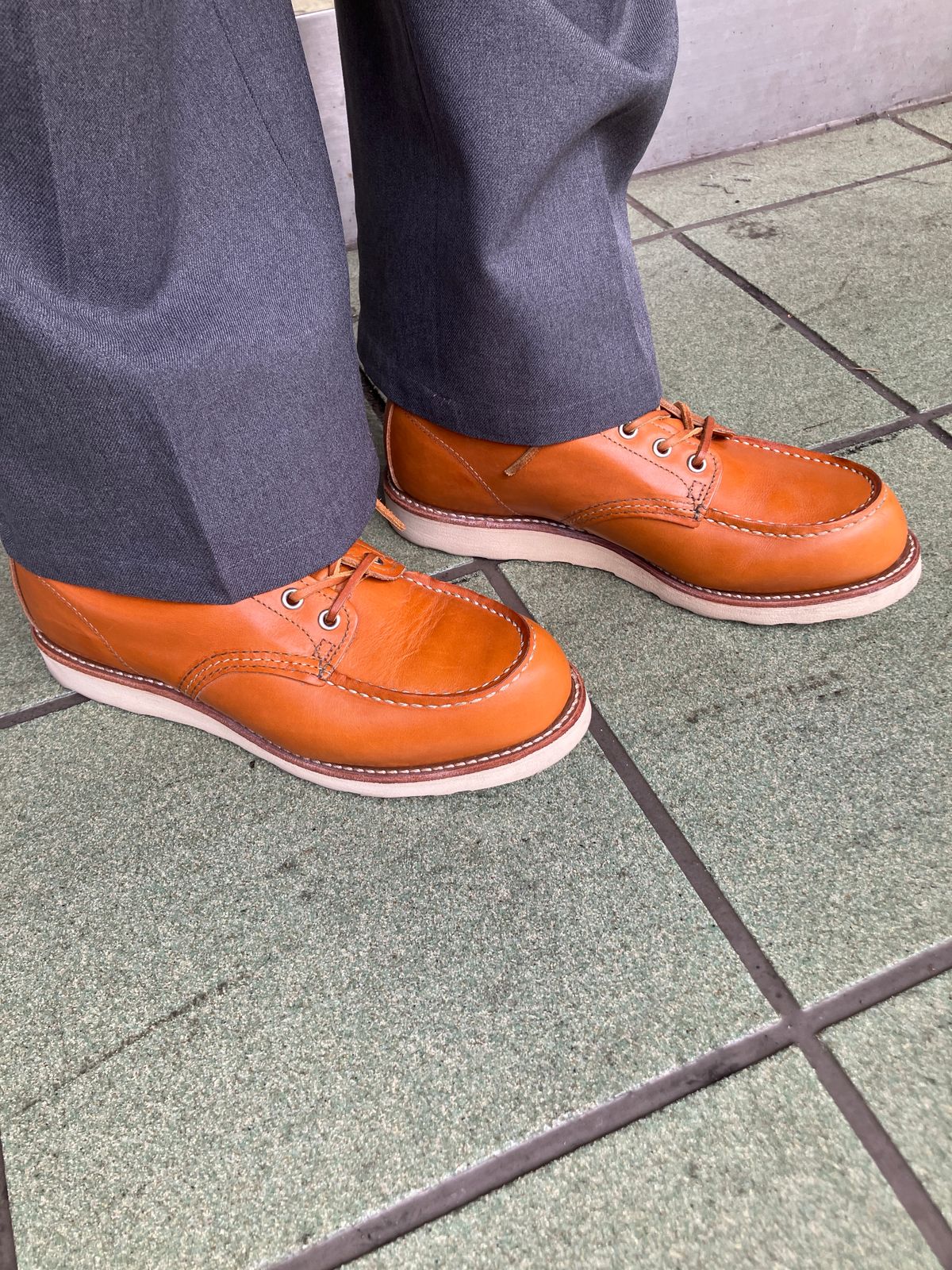 Photo by maru on January 21, 2025 of the Red Wing 6-Inch Classic Moc in S.B. Foot Sequoia Gold Russet.