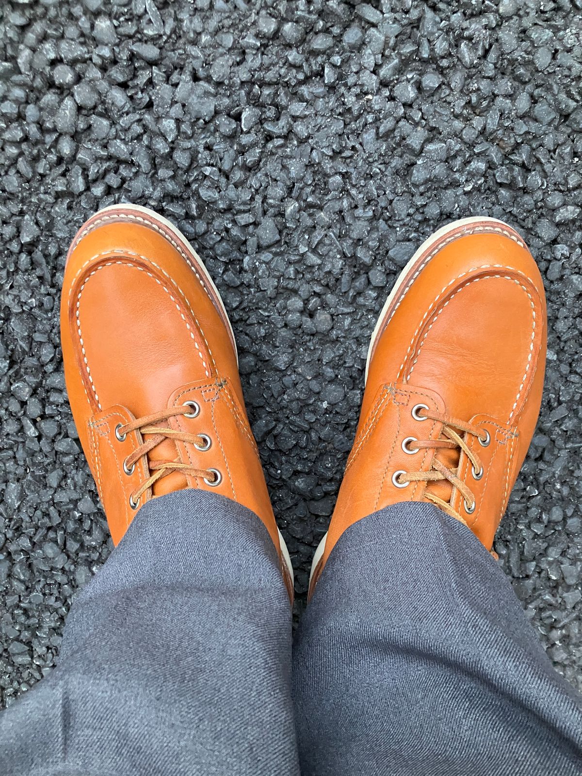 Photo by maru on March 2, 2025 of the Red Wing 6-Inch Classic Moc in S.B. Foot Sequoia Gold Russet.