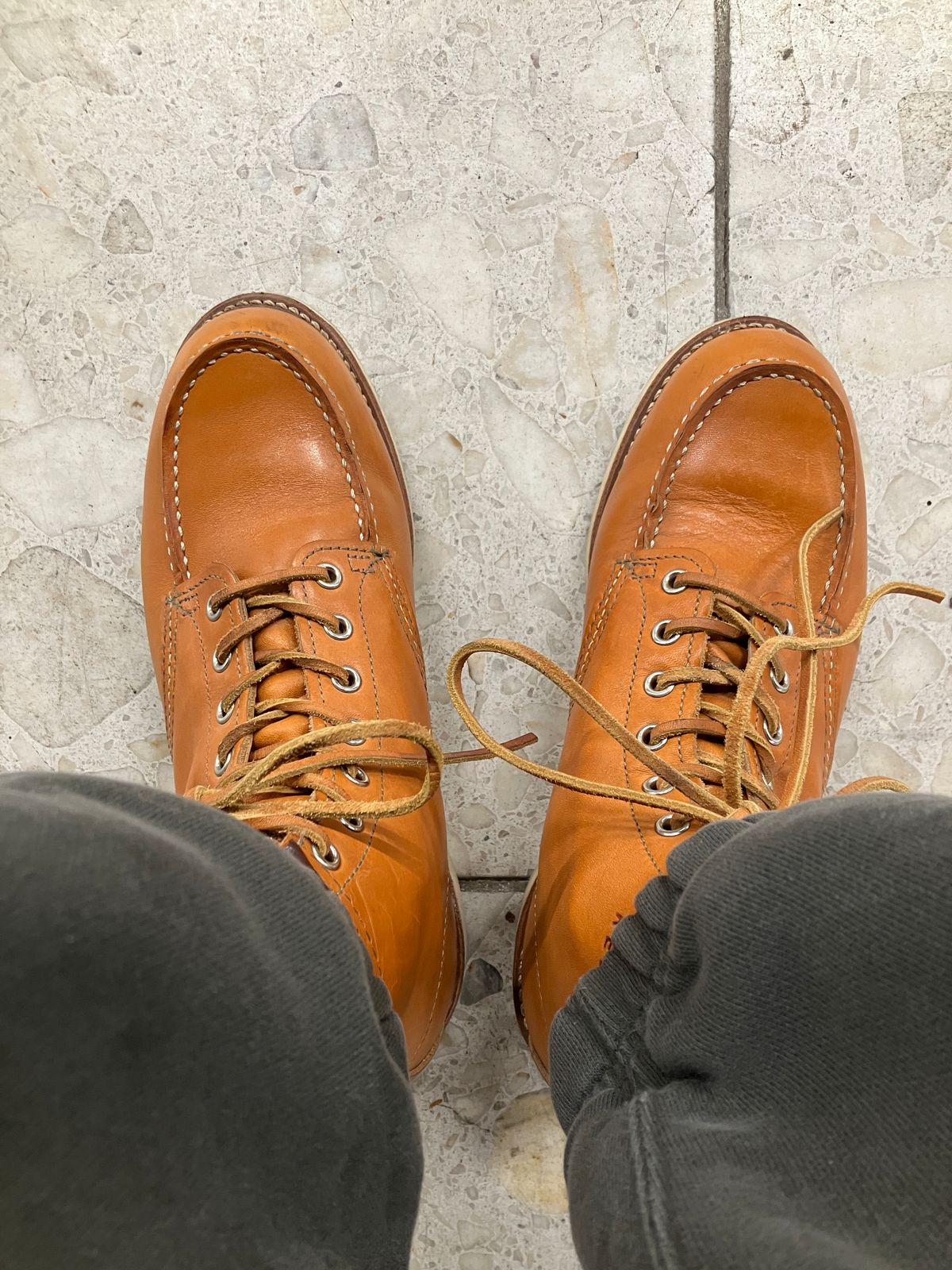 Photo by maru on March 7, 2025 of the Red Wing 6-Inch Classic Moc in S.B. Foot Sequoia Gold Russet.