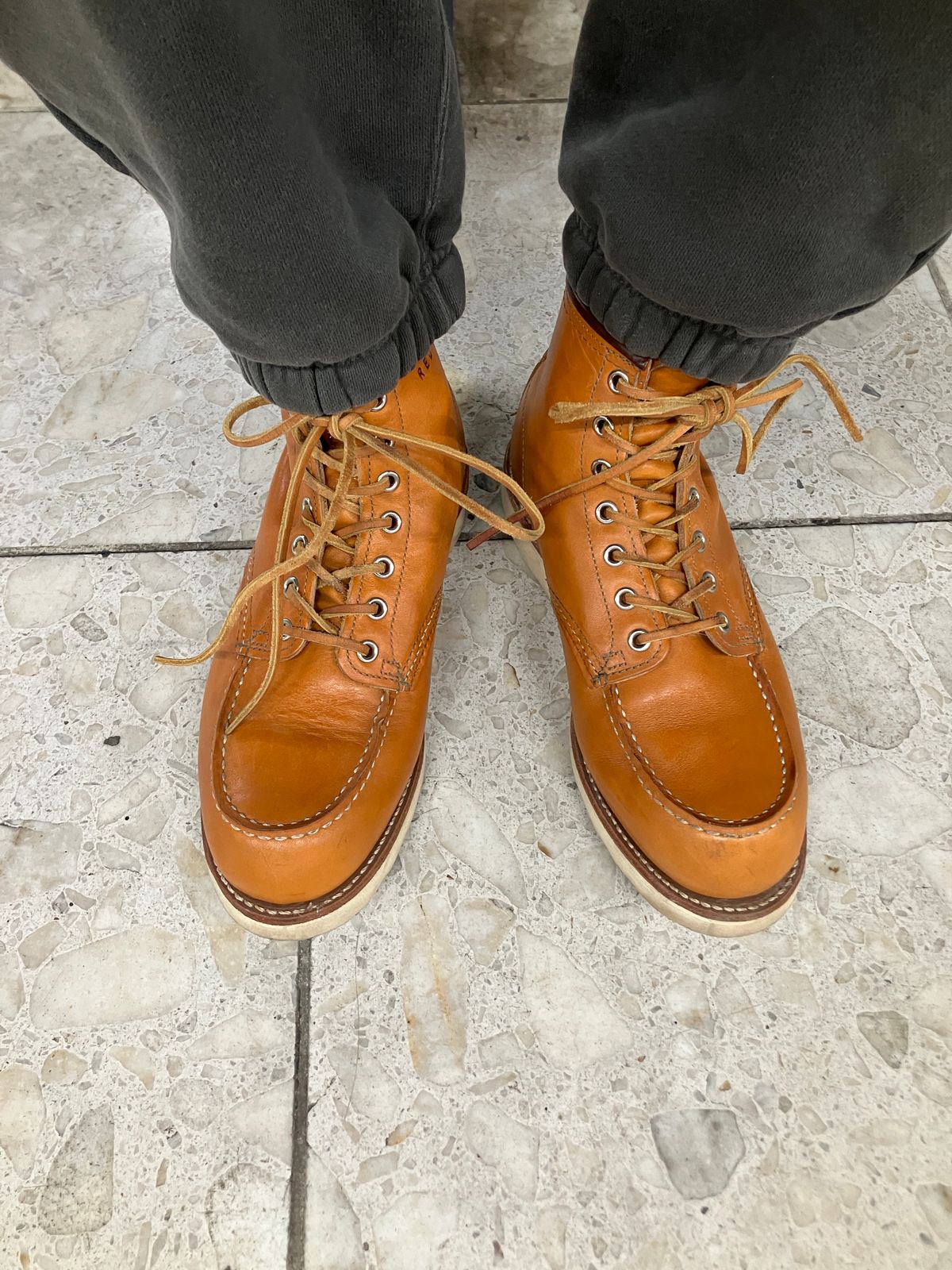 Photo by maru on March 7, 2025 of the Red Wing 6-Inch Classic Moc in S.B. Foot Sequoia Gold Russet.