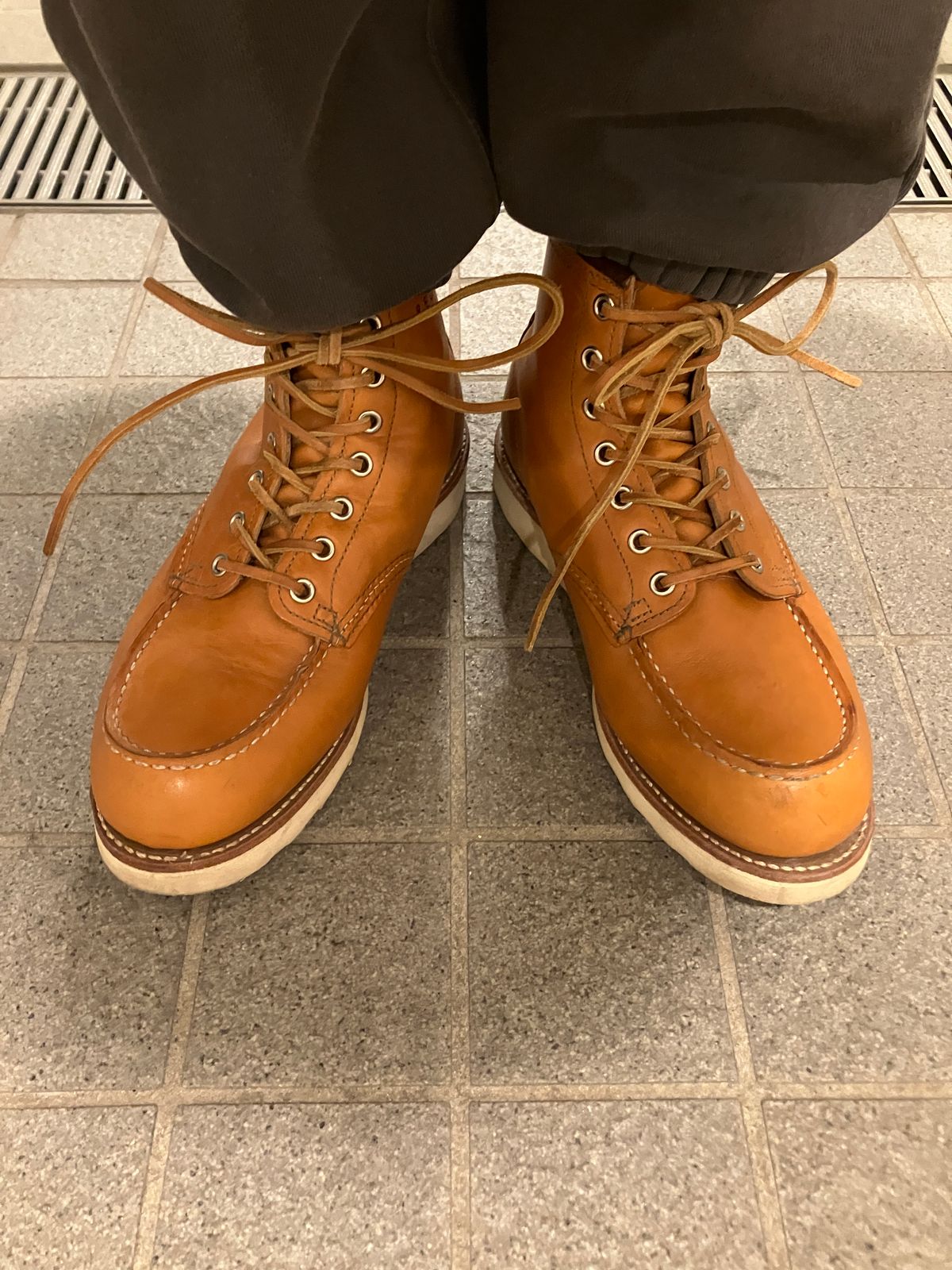 Photo by maru on March 9, 2025 of the Red Wing 6-Inch Classic Moc in S.B. Foot Sequoia Gold Russet.