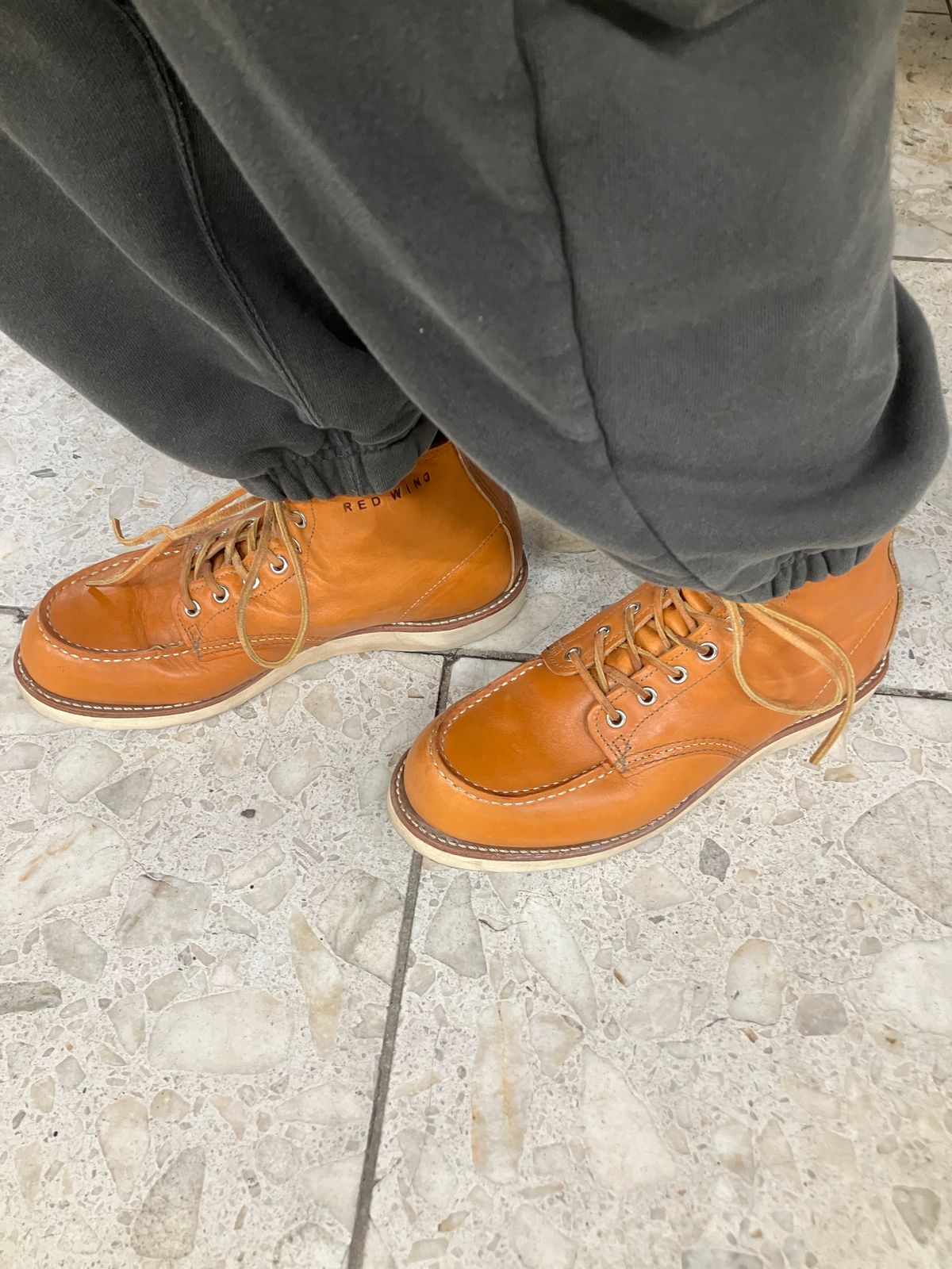 Photo by maru on March 7, 2025 of the Red Wing 6-Inch Classic Moc in S.B. Foot Sequoia Gold Russet.