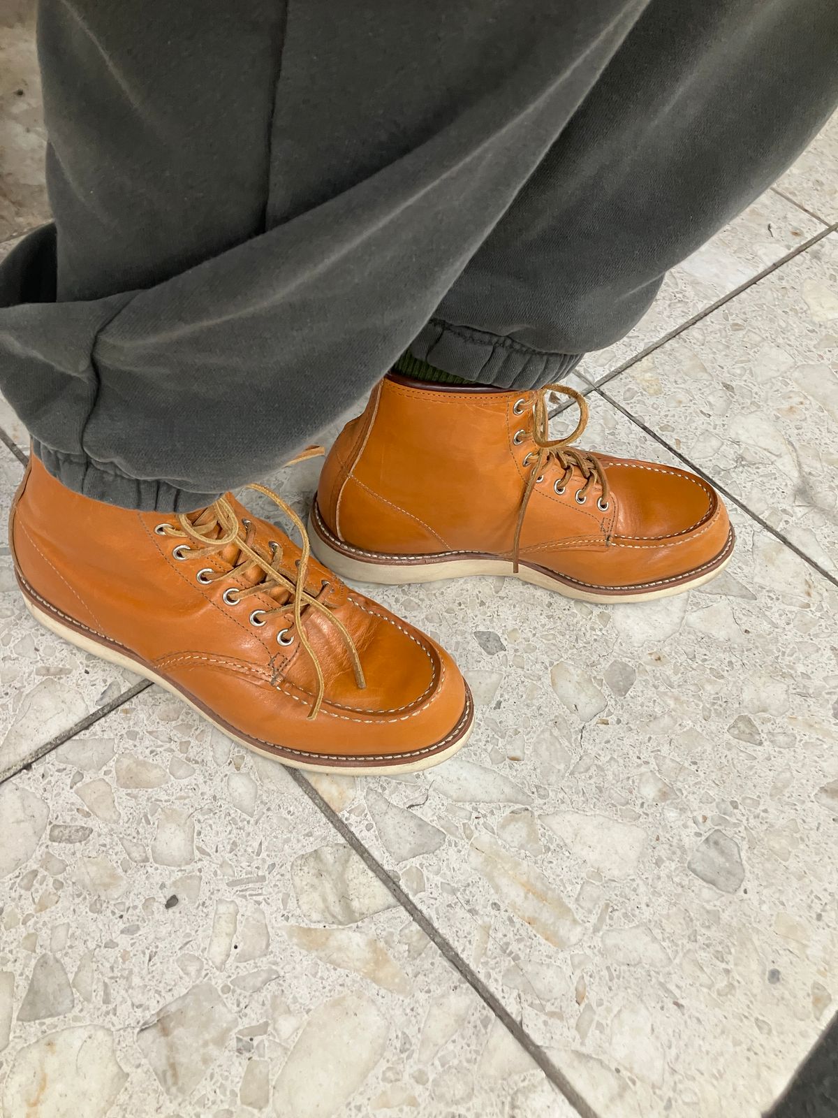 Photo by maru on March 7, 2025 of the Red Wing 6-Inch Classic Moc in S.B. Foot Sequoia Gold Russet.