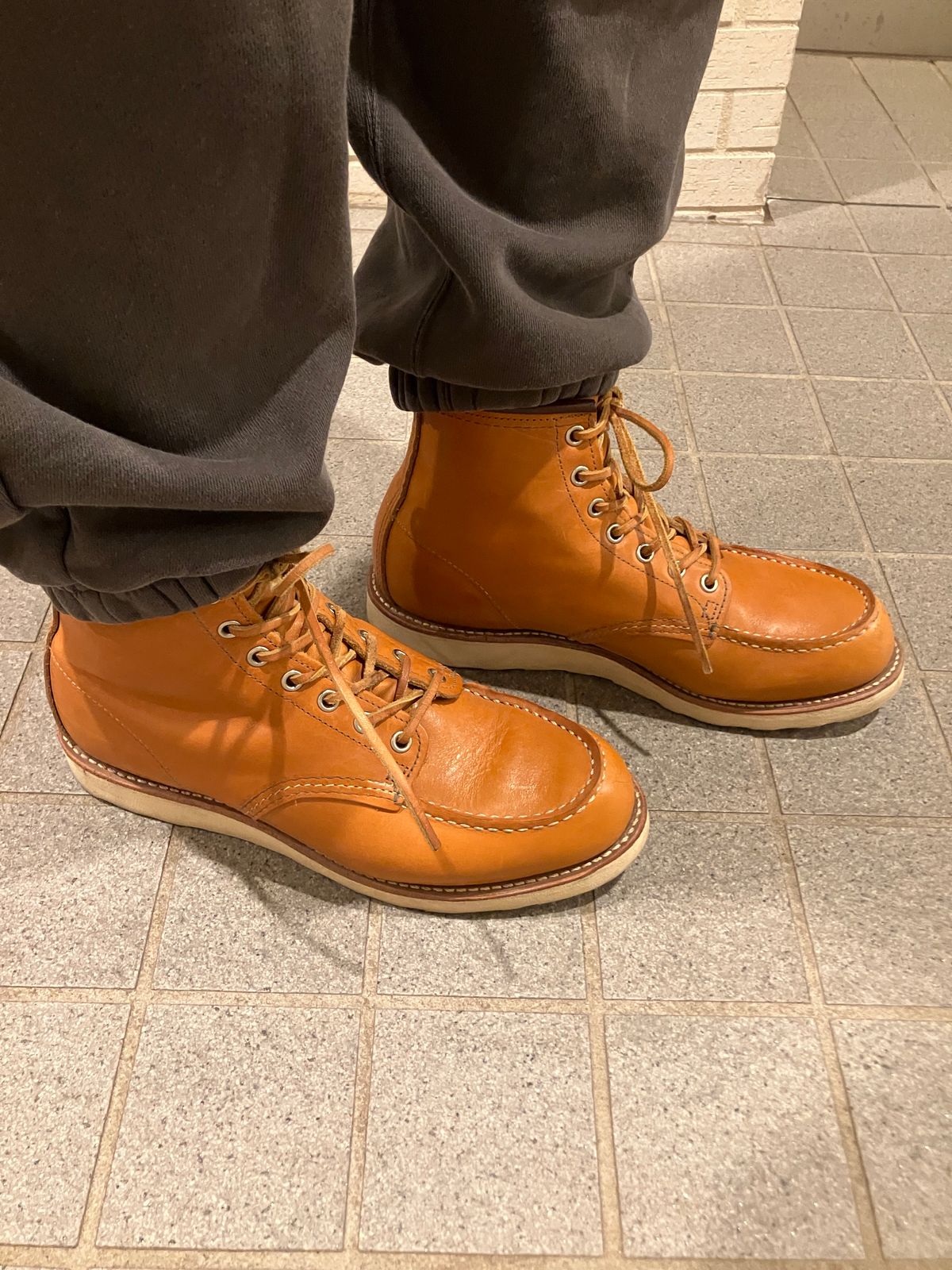 Photo by maru on March 9, 2025 of the Red Wing 6-Inch Classic Moc in S.B. Foot Sequoia Gold Russet.
