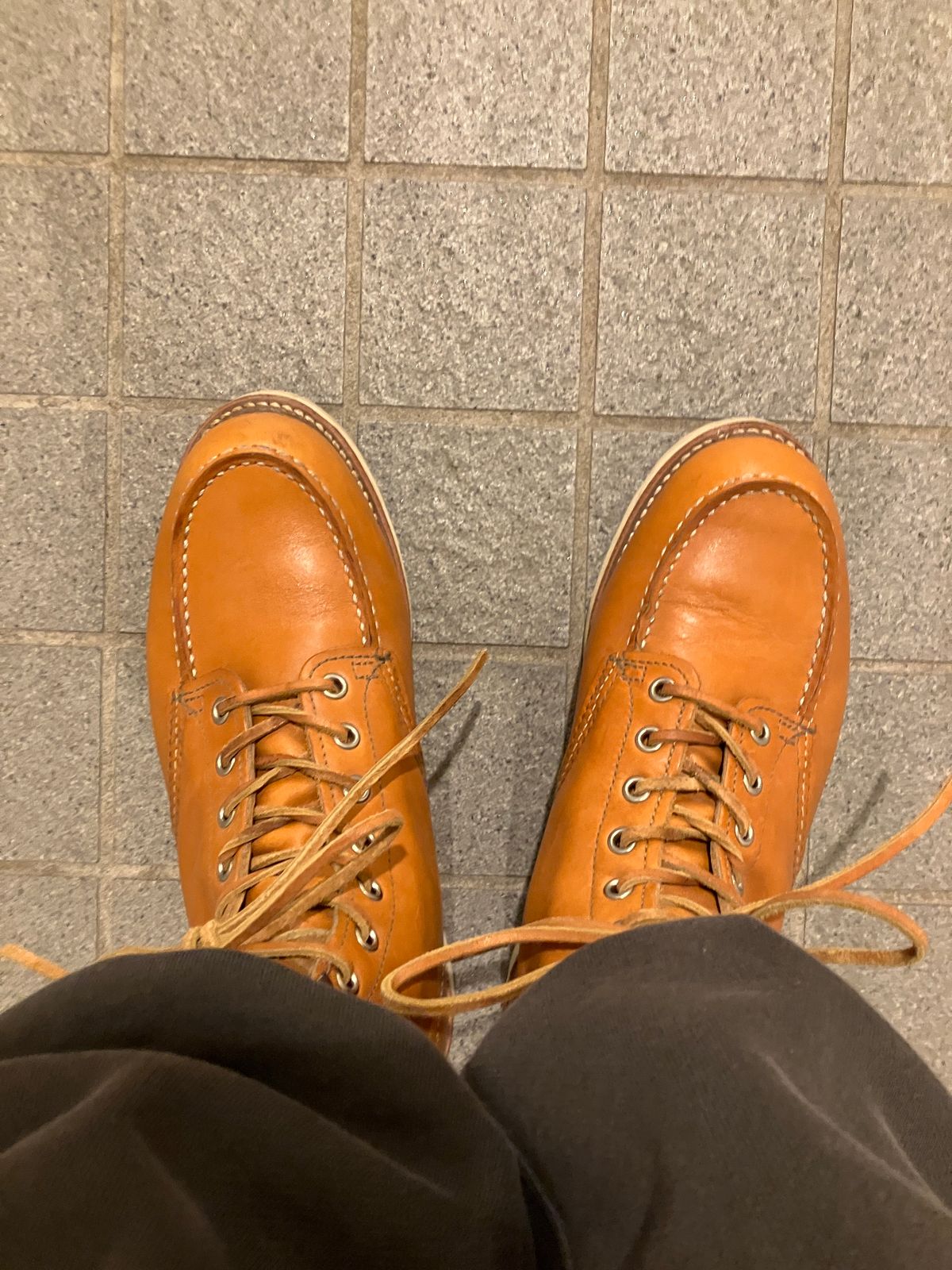 Photo by maru on March 9, 2025 of the Red Wing 6-Inch Classic Moc in S.B. Foot Sequoia Gold Russet.