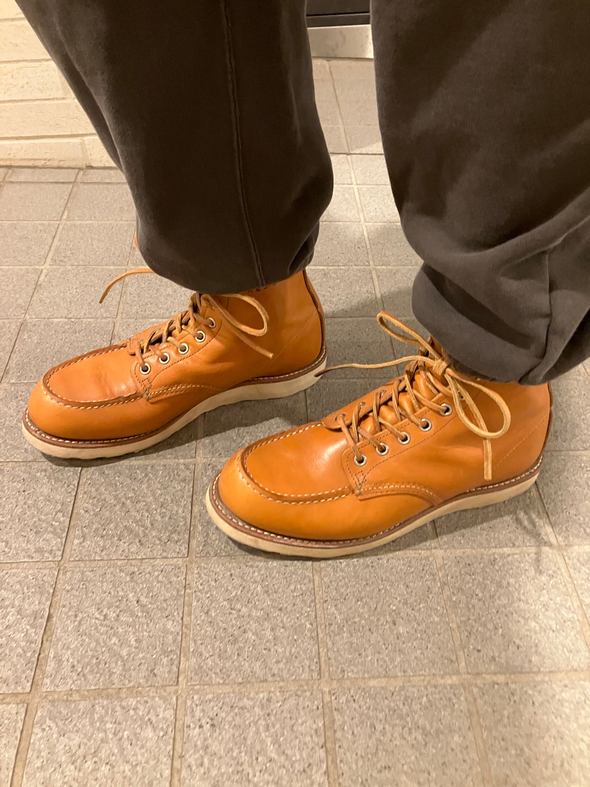 Photo by maru on March 9, 2025 of the Red Wing 6-Inch Classic Moc in S.B. Foot Sequoia Gold Russet.