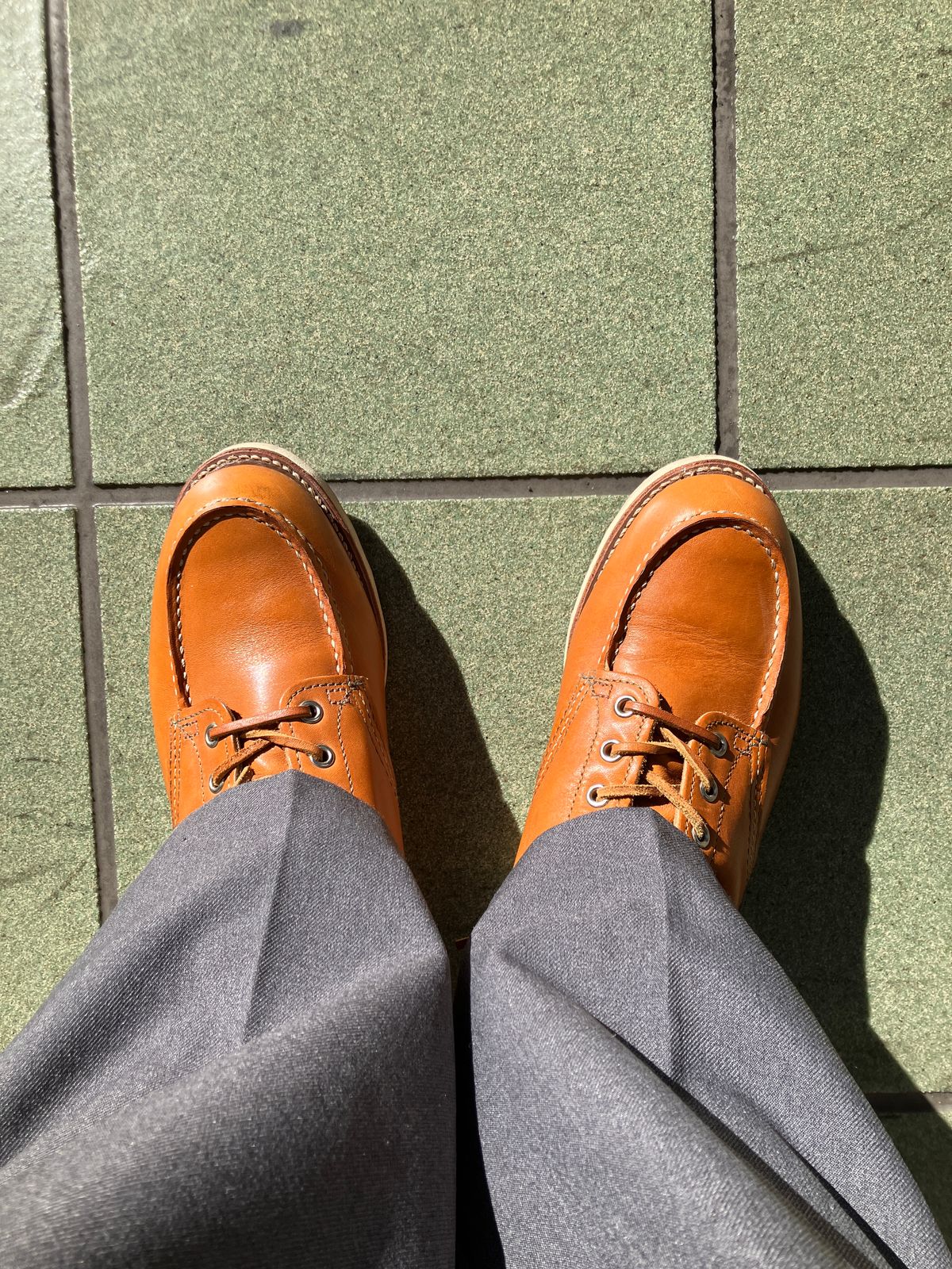Photo by maru on February 19, 2025 of the Red Wing 6-Inch Classic Moc in S.B. Foot Sequoia Gold Russet.