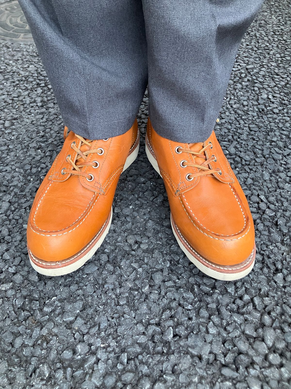 Photo by maru on March 2, 2025 of the Red Wing 6-Inch Classic Moc in S.B. Foot Sequoia Gold Russet.