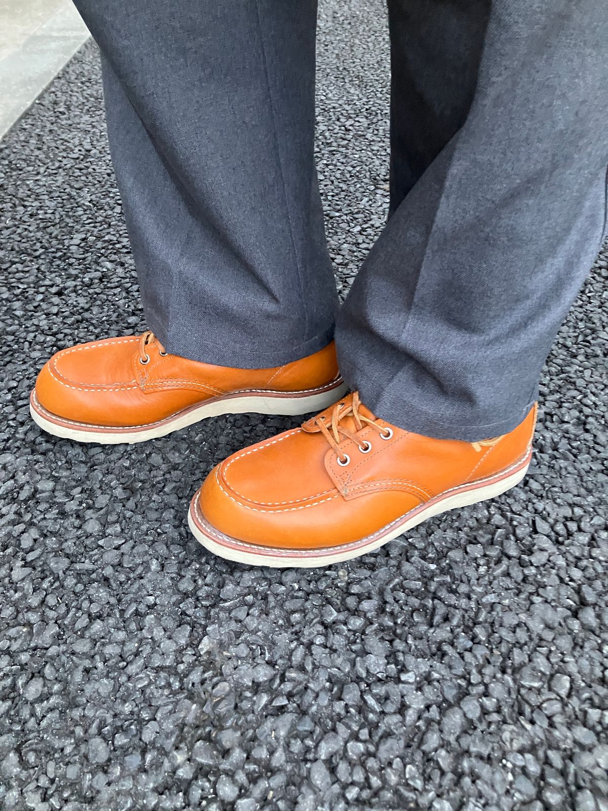 Photo by maru on March 2, 2025 of the Red Wing 6-Inch Classic Moc in S.B. Foot Sequoia Gold Russet.