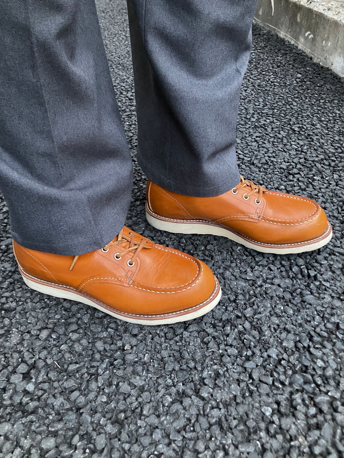 Photo by maru on March 2, 2025 of the Red Wing 6-Inch Classic Moc in S.B. Foot Sequoia Gold Russet.