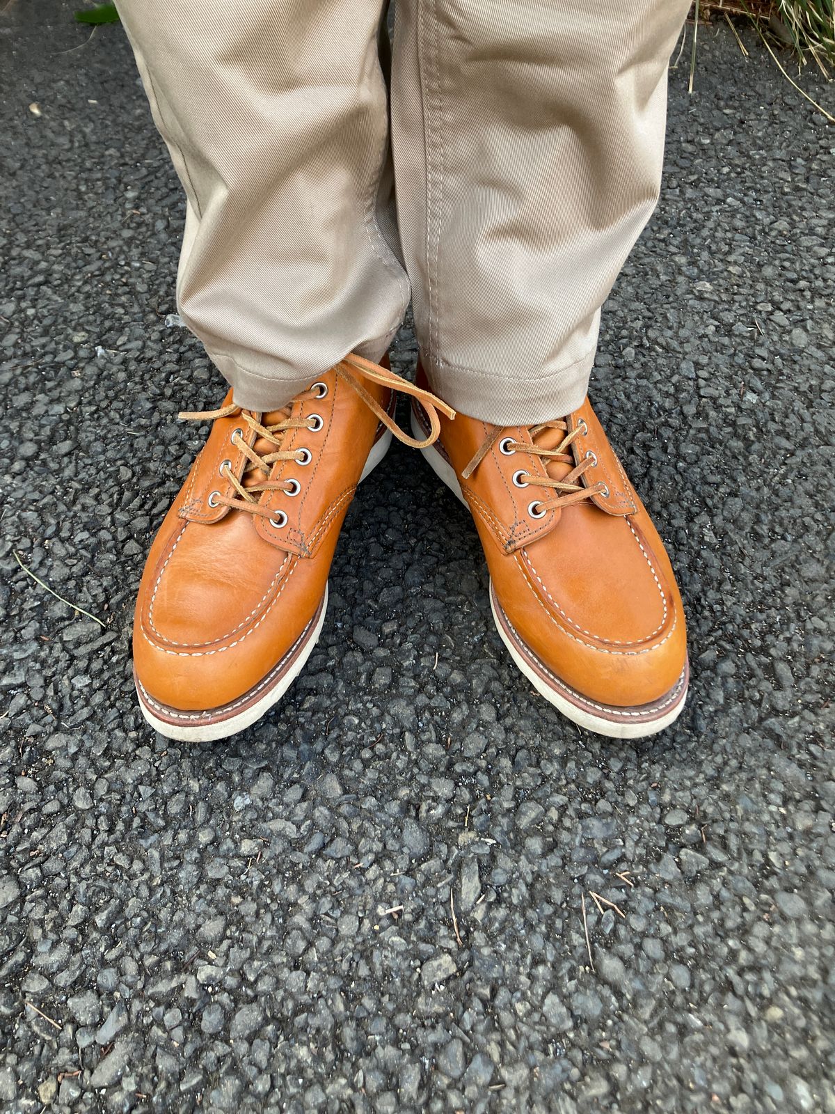 Photo by maru on March 20, 2025 of the Red Wing 6-Inch Classic Moc in S.B. Foot Sequoia Gold Russet.