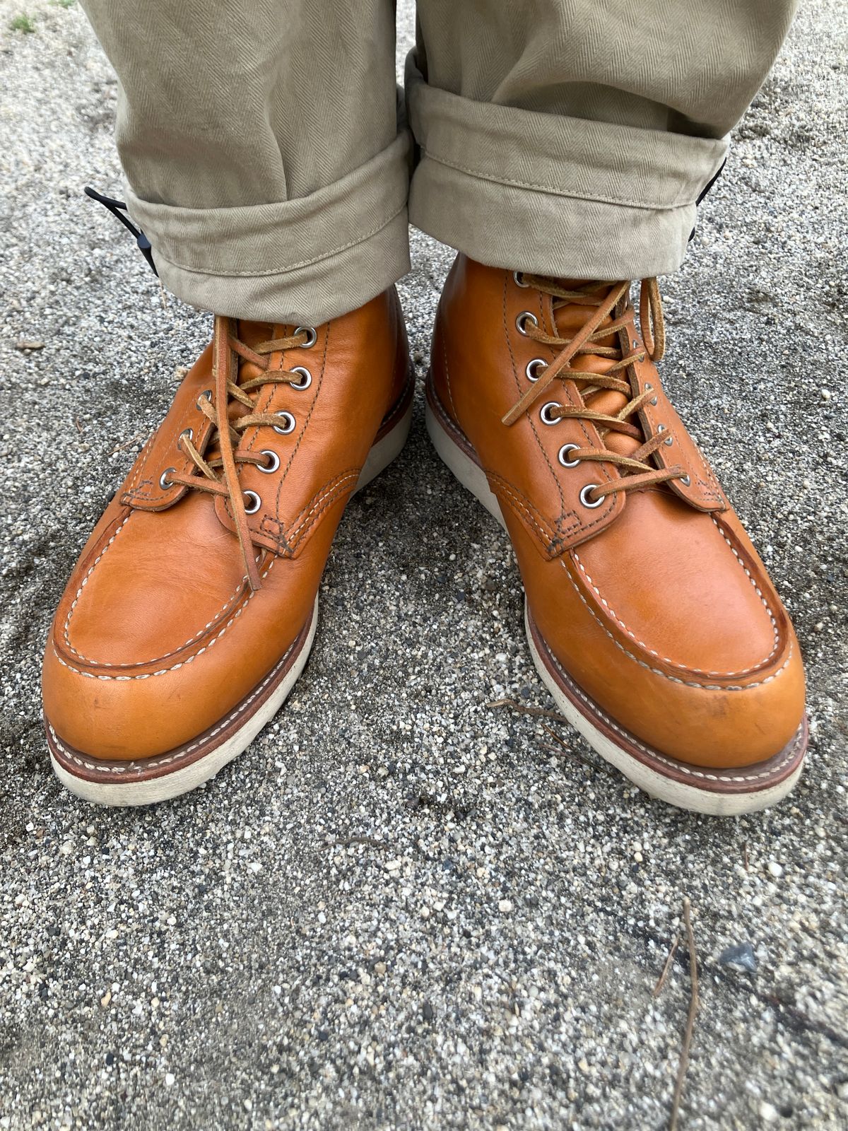 Photo by maru on March 30, 2025 of the Red Wing 6-Inch Classic Moc in S.B. Foot Sequoia Gold Russet.
