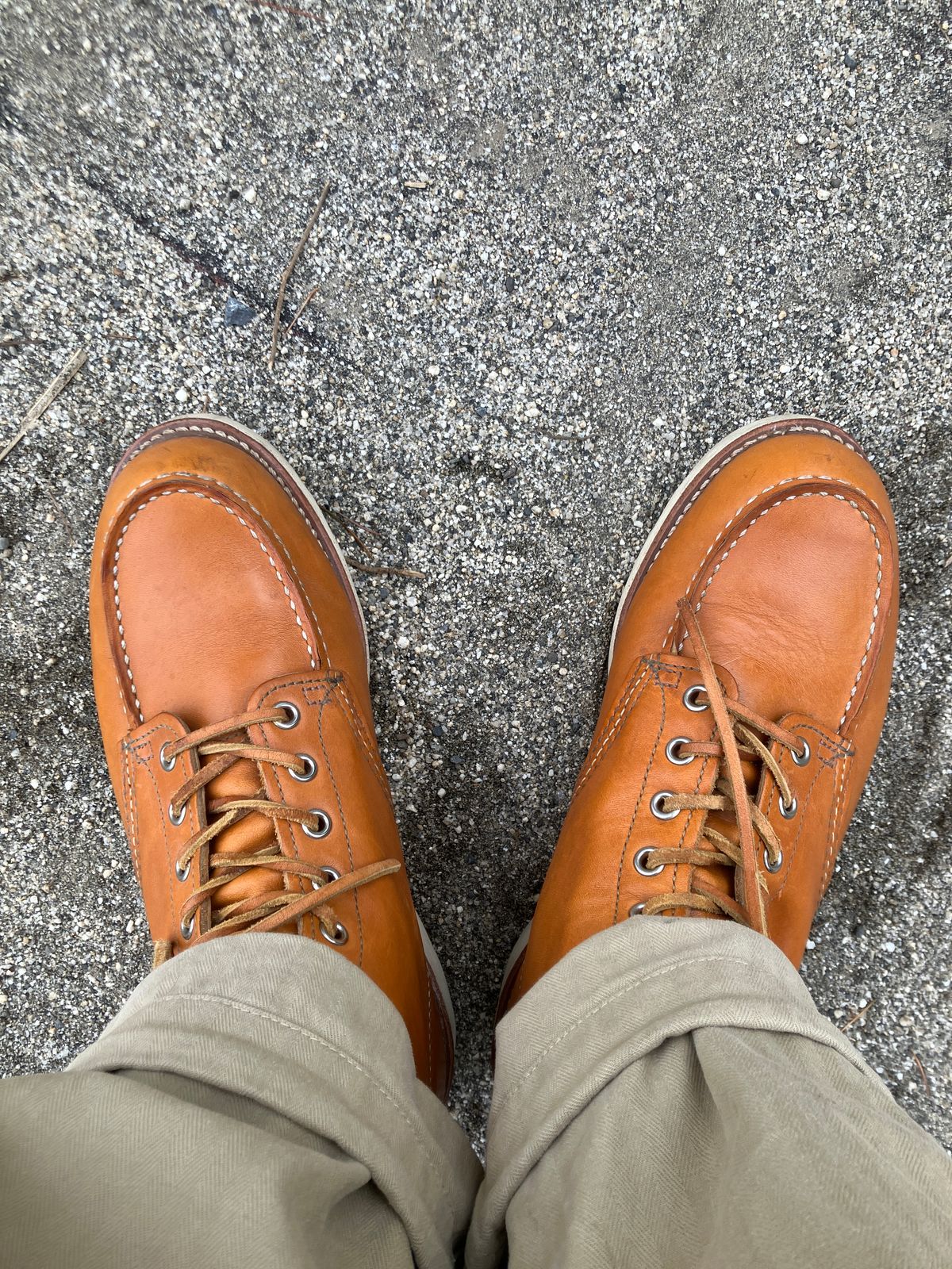Photo by maru on March 30, 2025 of the Red Wing 6-Inch Classic Moc in S.B. Foot Sequoia Gold Russet.