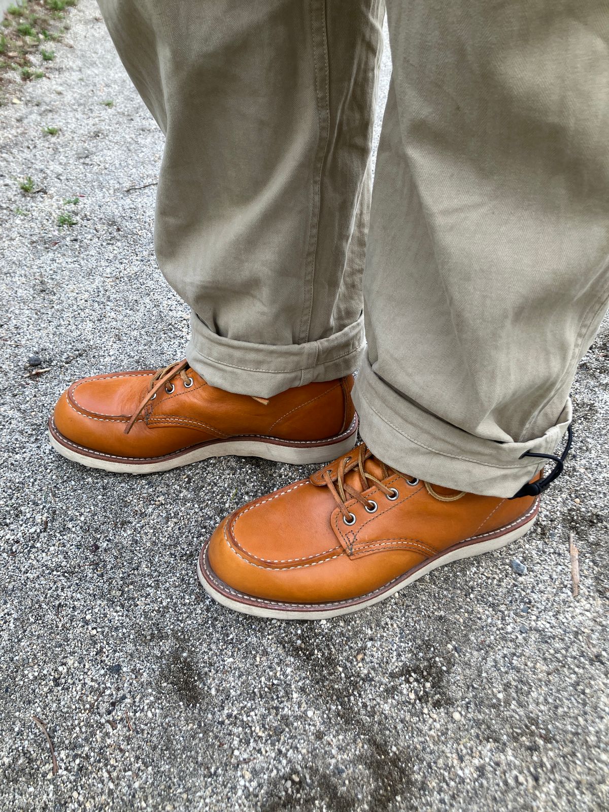 Photo by maru on March 30, 2025 of the Red Wing 6-Inch Classic Moc in S.B. Foot Sequoia Gold Russet.