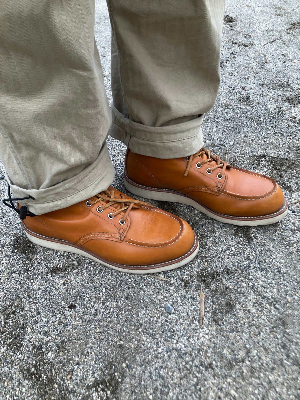 Photo by maru on March 30, 2025 of the Red Wing 6-Inch Classic Moc in S.B. Foot Sequoia Gold Russet.