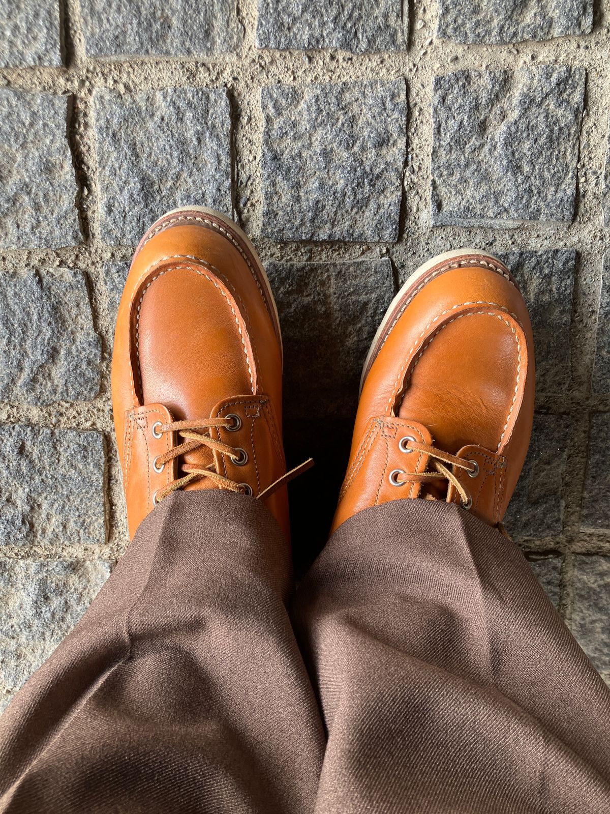 Photo by maru on April 7, 2025 of the Red Wing 6-Inch Classic Moc in S.B. Foot Sequoia Gold Russet.