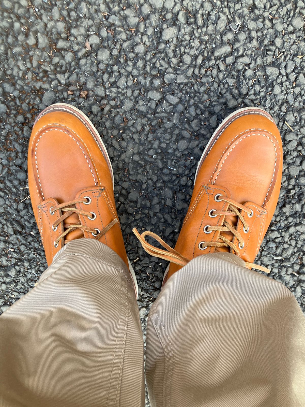 Photo by maru on March 20, 2025 of the Red Wing 6-Inch Classic Moc in S.B. Foot Sequoia Gold Russet.