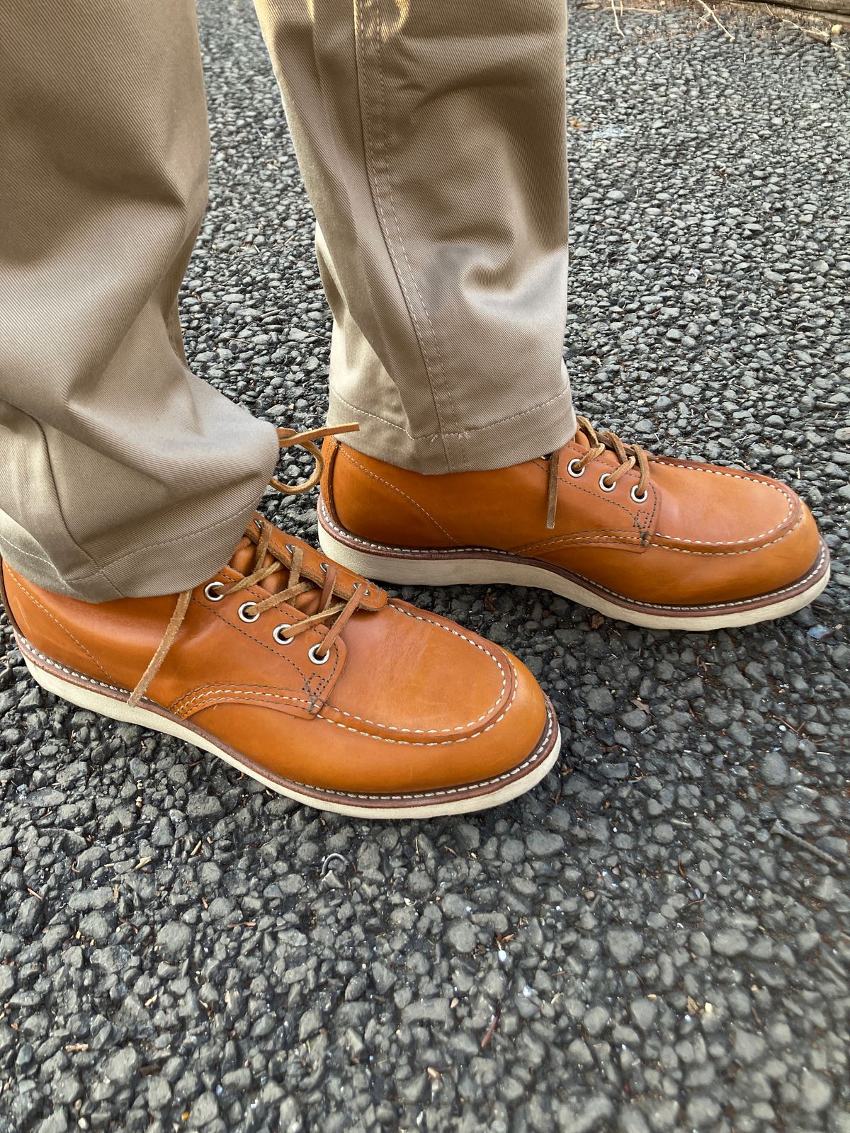 Photo by maru on March 20, 2025 of the Red Wing 6-Inch Classic Moc in S.B. Foot Sequoia Gold Russet.