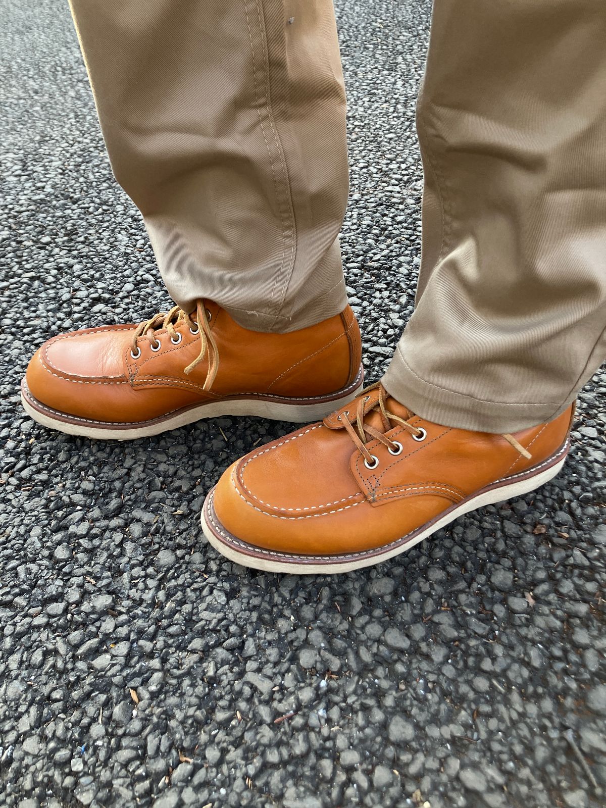 Photo by maru on March 20, 2025 of the Red Wing 6-Inch Classic Moc in S.B. Foot Sequoia Gold Russet.