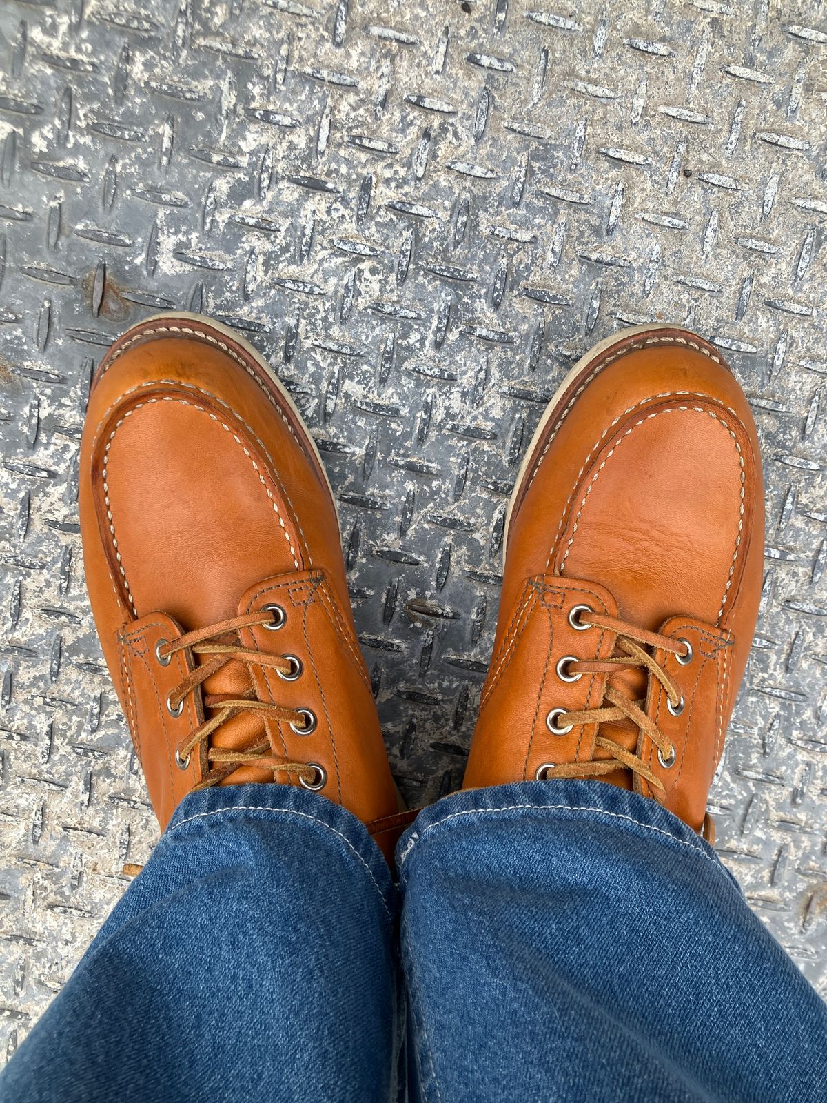 Photo by maru on April 20, 2025 of the Red Wing 6-Inch Classic Moc in S.B. Foot Sequoia Gold Russet.