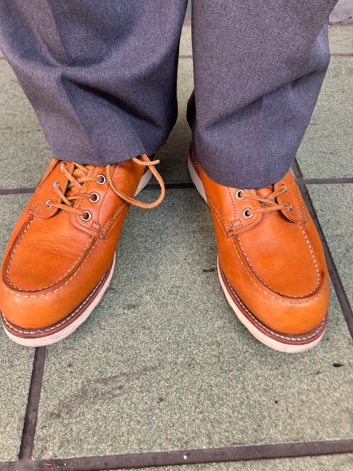 Photo by maru on May 1, 2025 of the Red Wing 6-Inch Classic Moc in S.B. Foot Sequoia Gold Russet.
