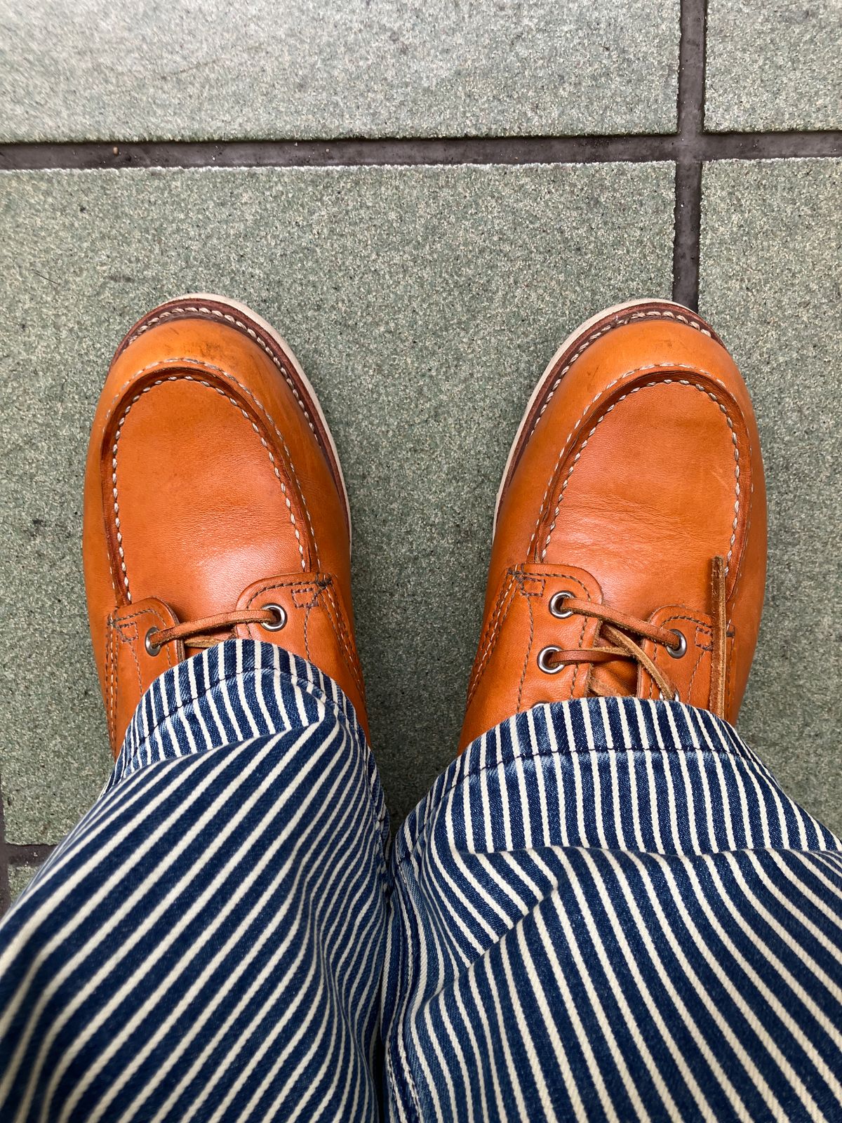 Photo by maru on May 16, 2025 of the Red Wing 6-Inch Classic Moc in S.B. Foot Sequoia Gold Russet.