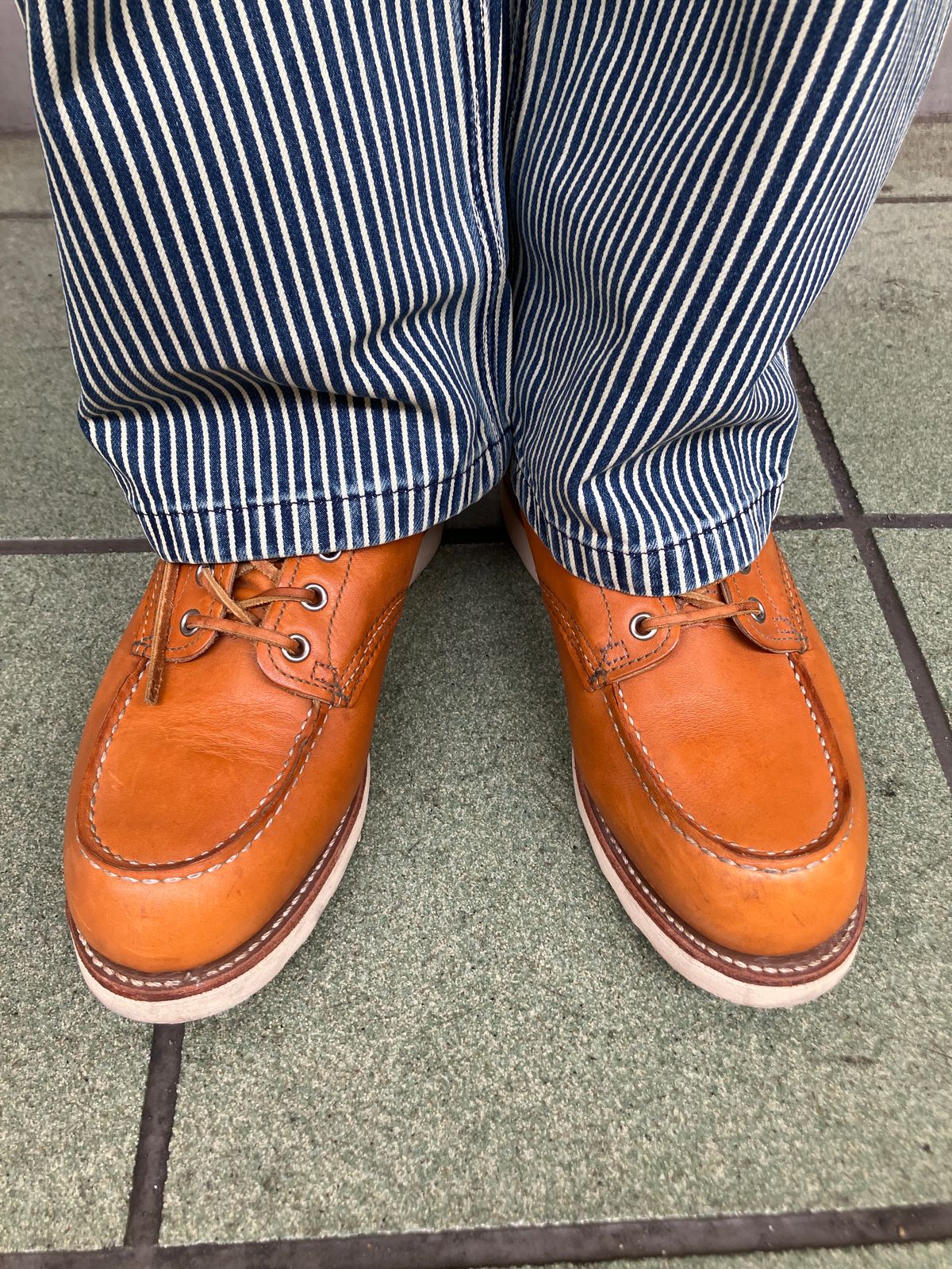 Photo by maru on May 16, 2025 of the Red Wing 6-Inch Classic Moc in S.B. Foot Sequoia Gold Russet.