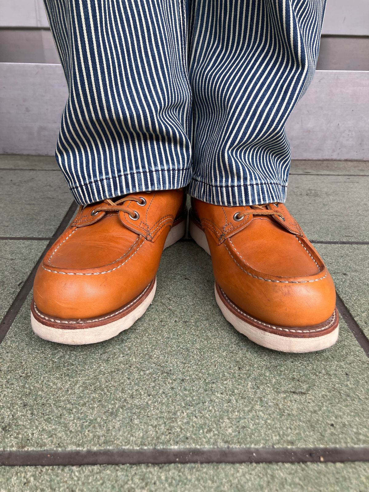 Photo by maru on May 16, 2025 of the Red Wing 6-Inch Classic Moc in S.B. Foot Sequoia Gold Russet.