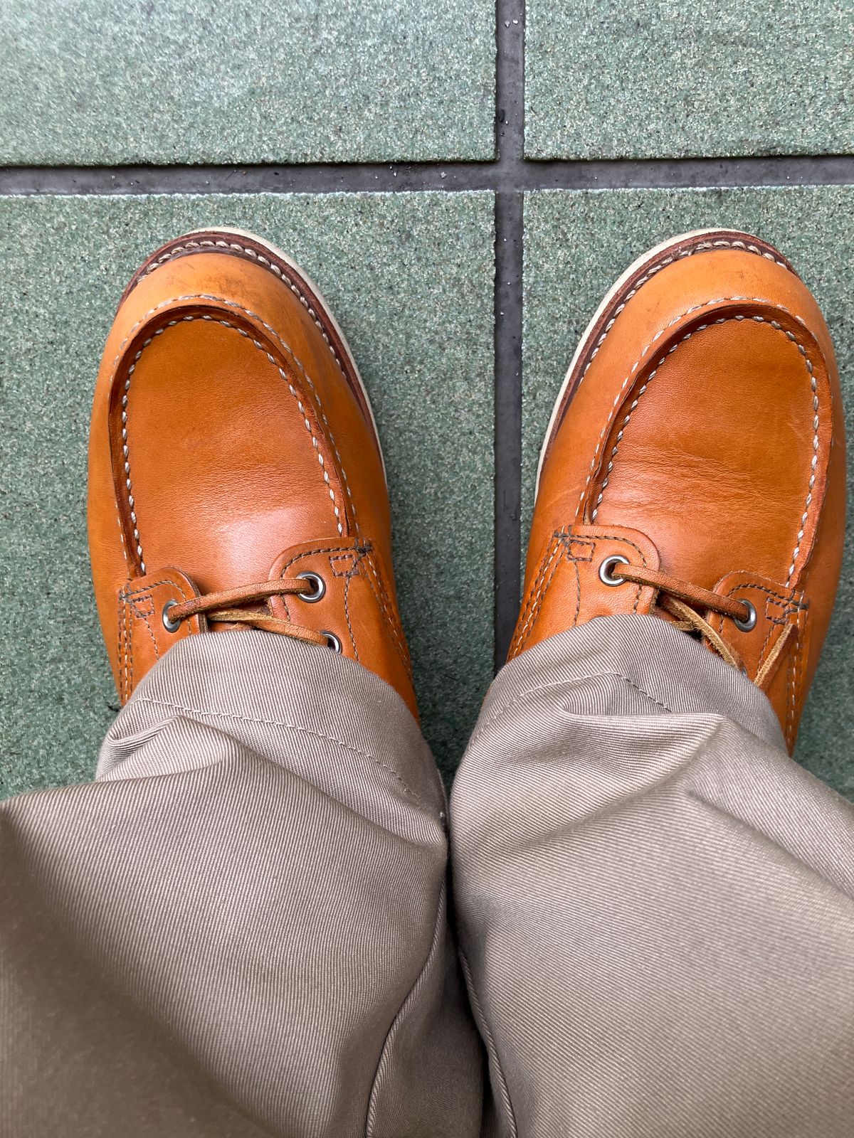 Photo by maru on May 23, 2025 of the Red Wing 6-Inch Classic Moc in S.B. Foot Sequoia Gold Russet.