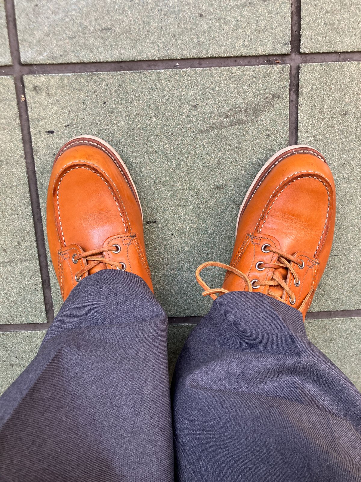 Photo by maru on May 1, 2025 of the Red Wing 6-Inch Classic Moc in S.B. Foot Sequoia Gold Russet.