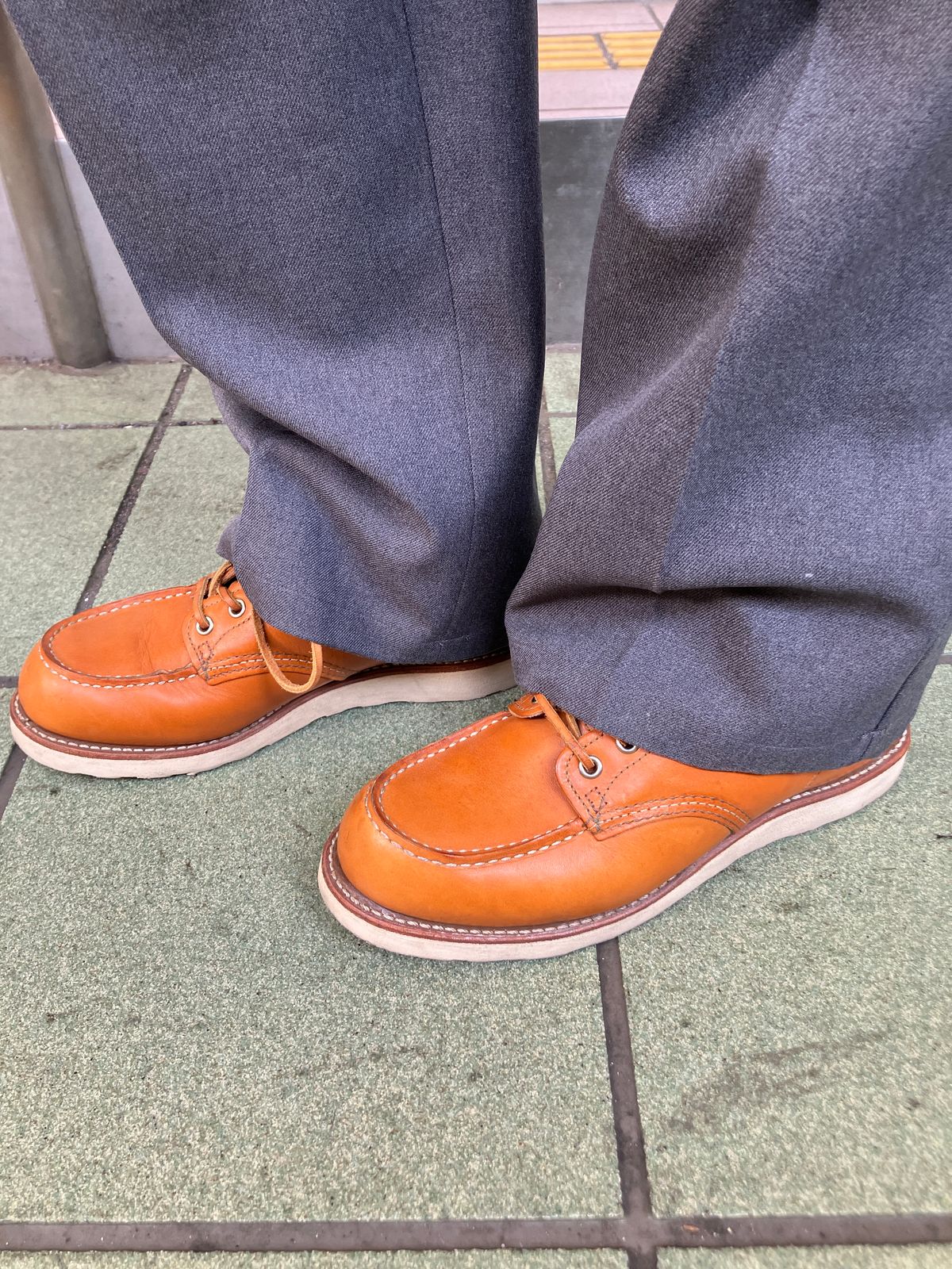 Photo by maru on May 1, 2025 of the Red Wing 6-Inch Classic Moc in S.B. Foot Sequoia Gold Russet.