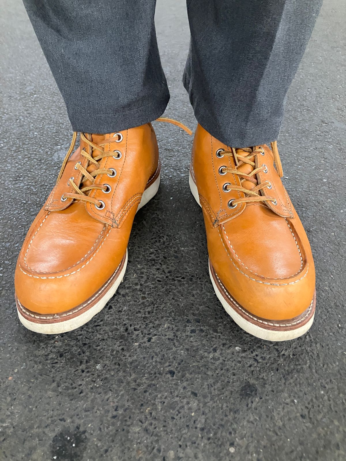 Photo by maru on June 4, 2025 of the Red Wing 6-Inch Classic Moc in S.B. Foot Sequoia Gold Russet.