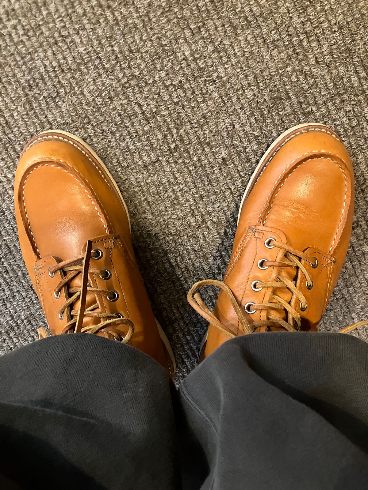 Photo by maru on June 8, 2025 of the Red Wing 6-Inch Classic Moc in S.B. Foot Sequoia Gold Russet.