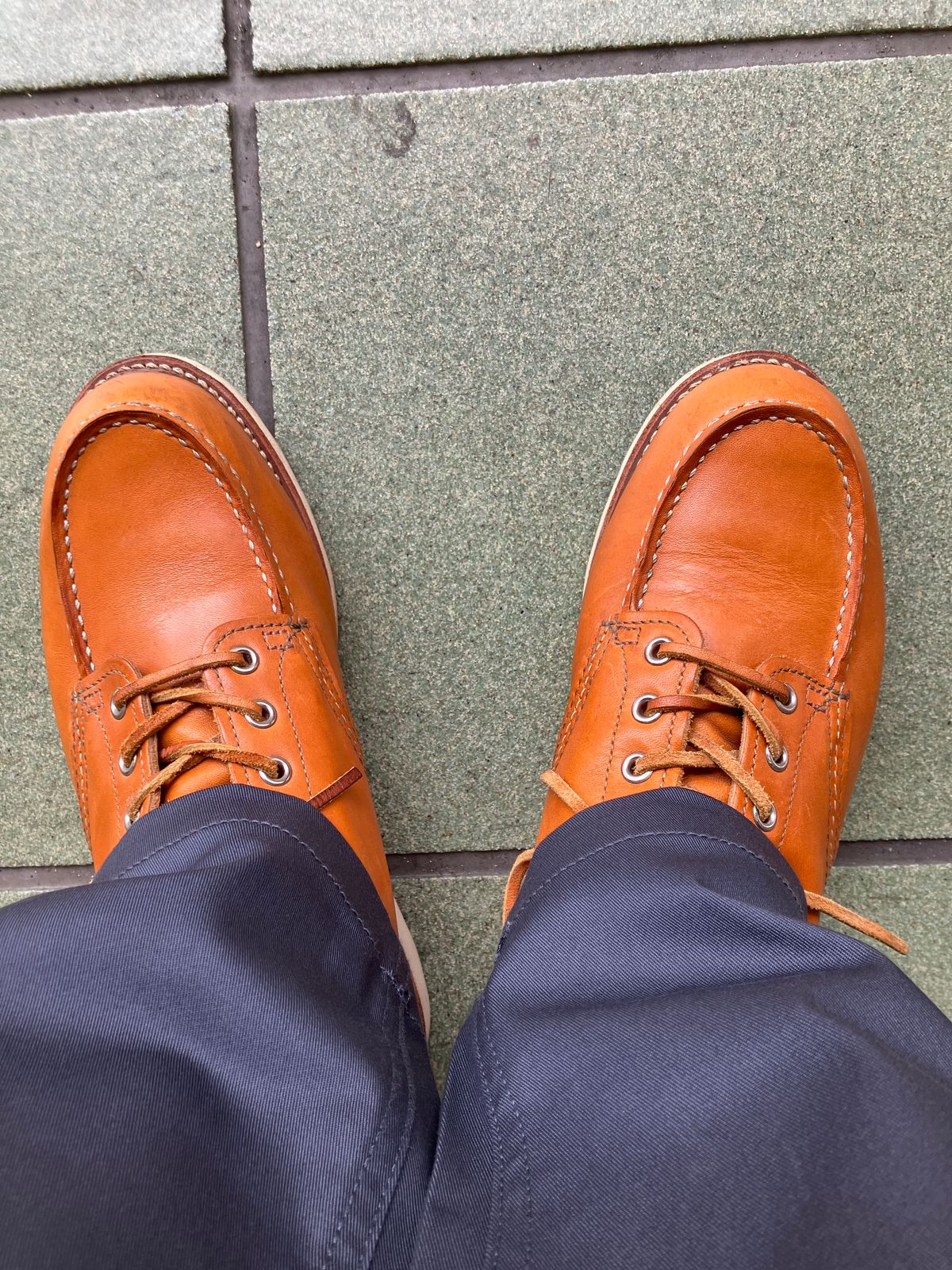 Photo by maru on June 16, 2025 of the Red Wing 6-Inch Classic Moc in S.B. Foot Sequoia Gold Russet.