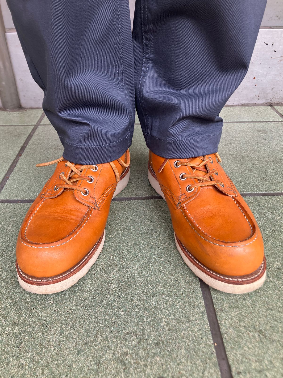 Photo by maru on June 16, 2025 of the Red Wing 6-Inch Classic Moc in S.B. Foot Sequoia Gold Russet.